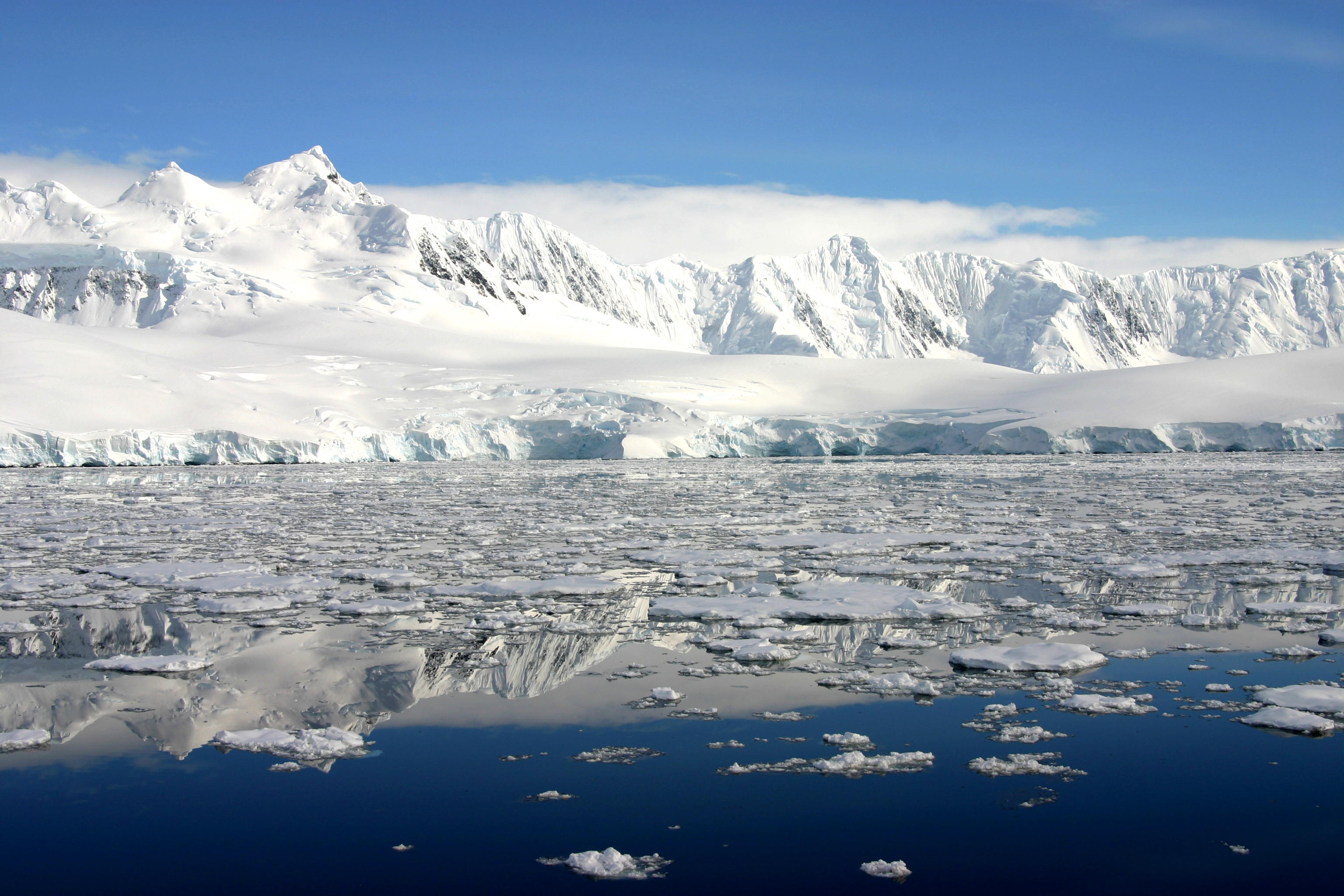 antarctic habitat