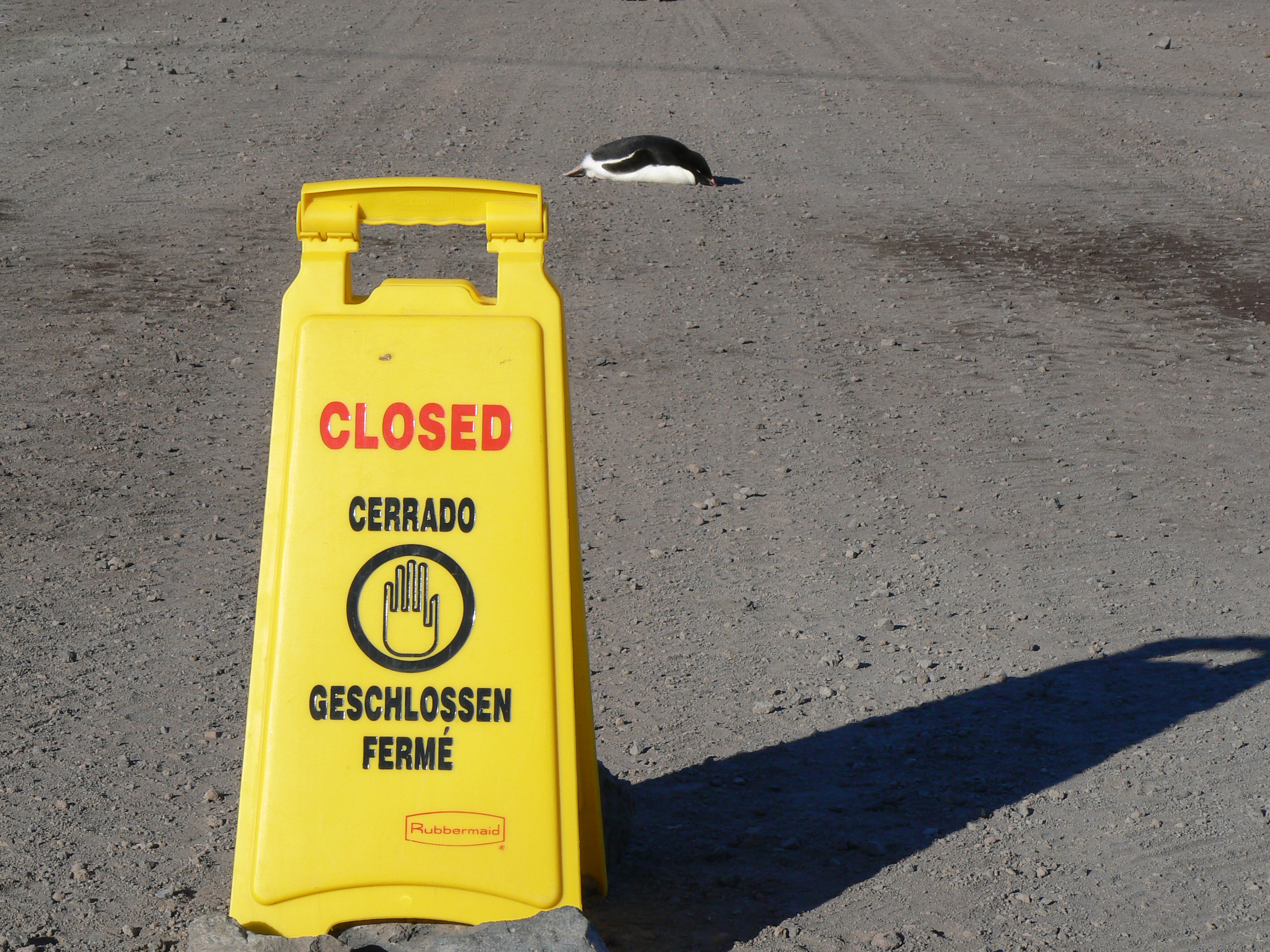Penguin and sign.