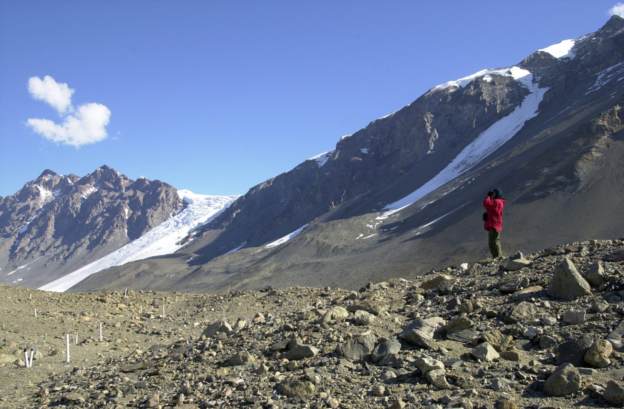 A person stands at a mountain vista.