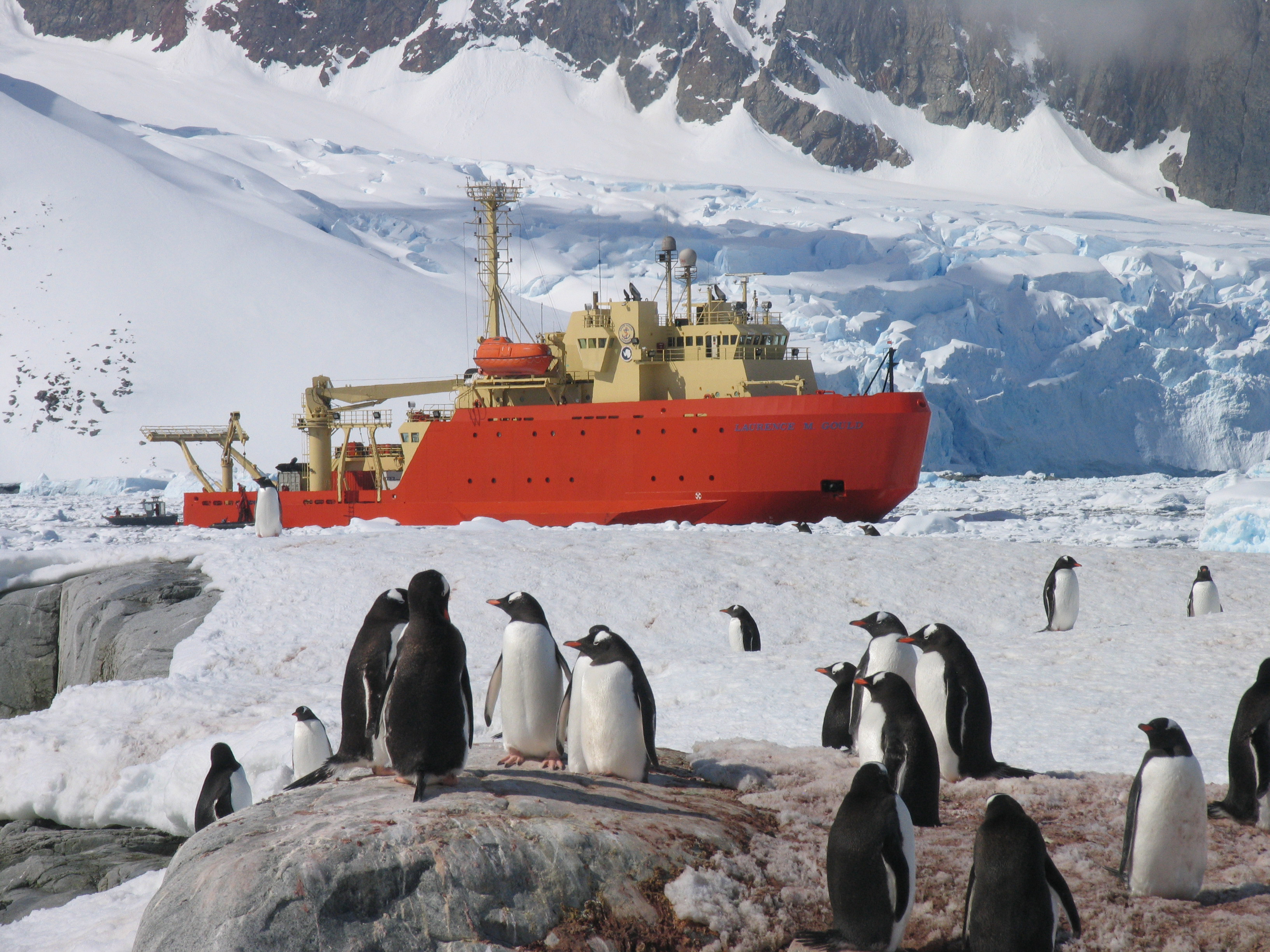 A ship passes a colony of penguins.