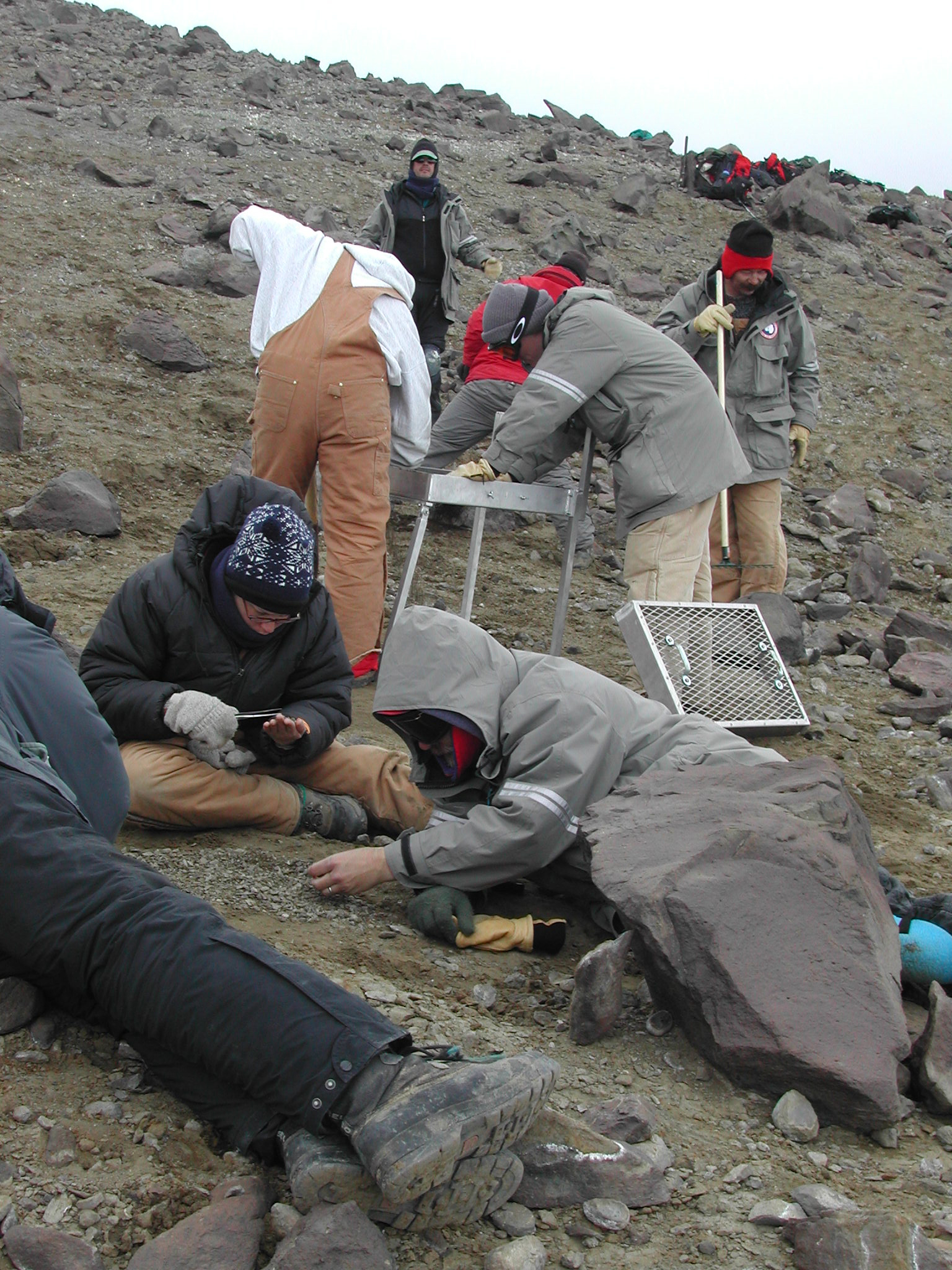 People examining rocks on a rocky slope.