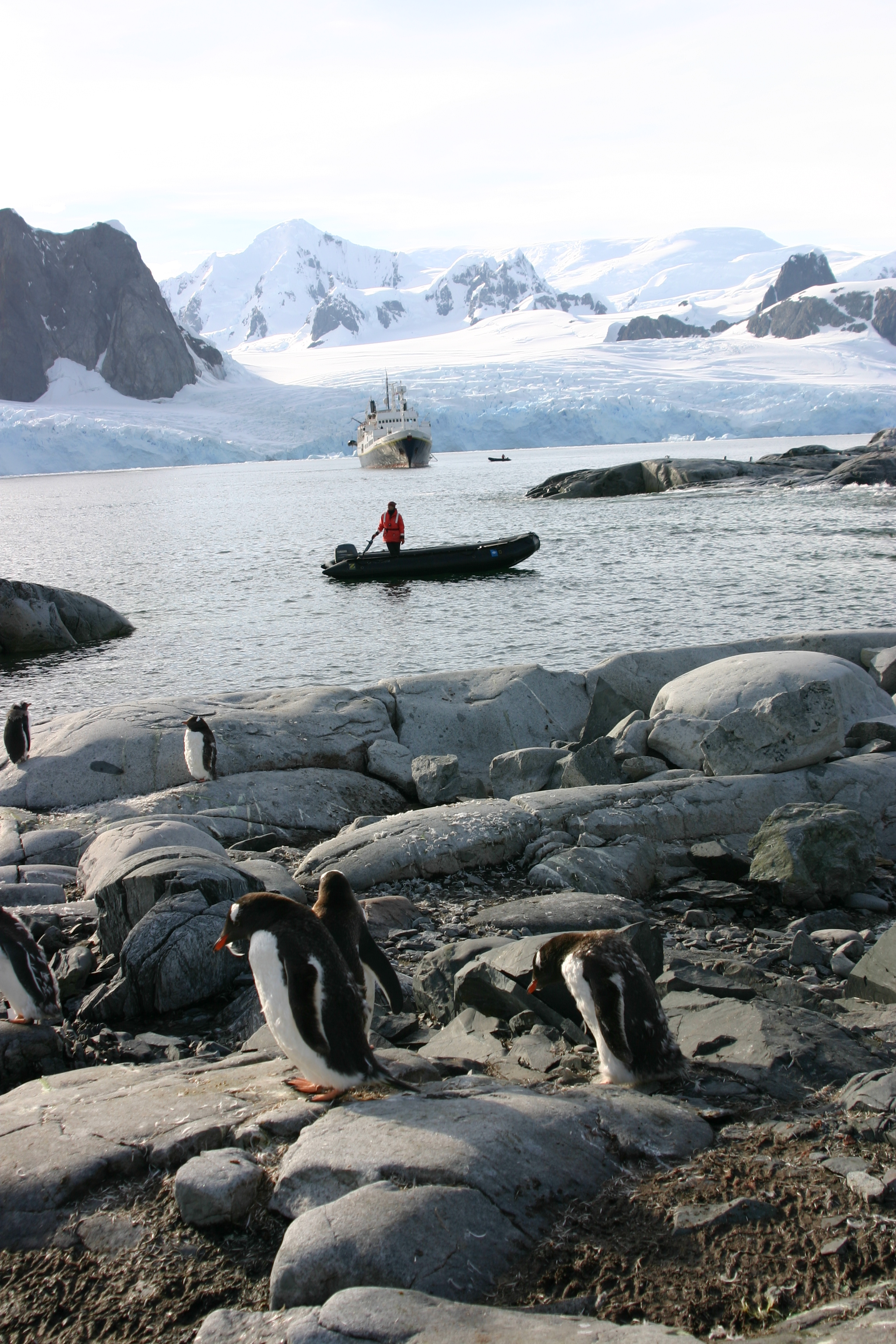 Boats, water, penguins.