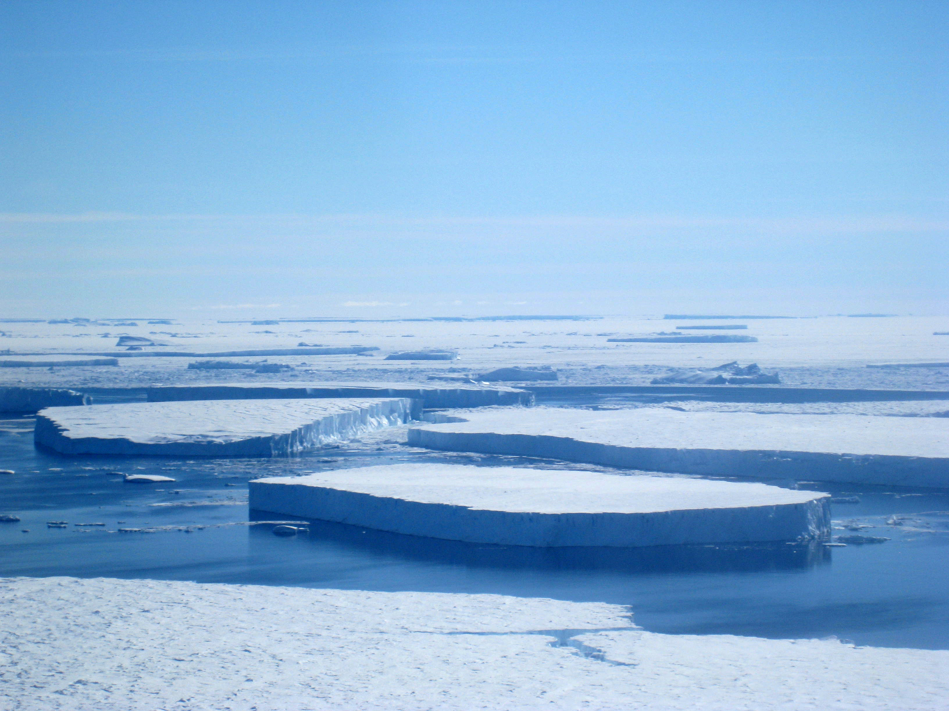 Icebergs float in the ocean.