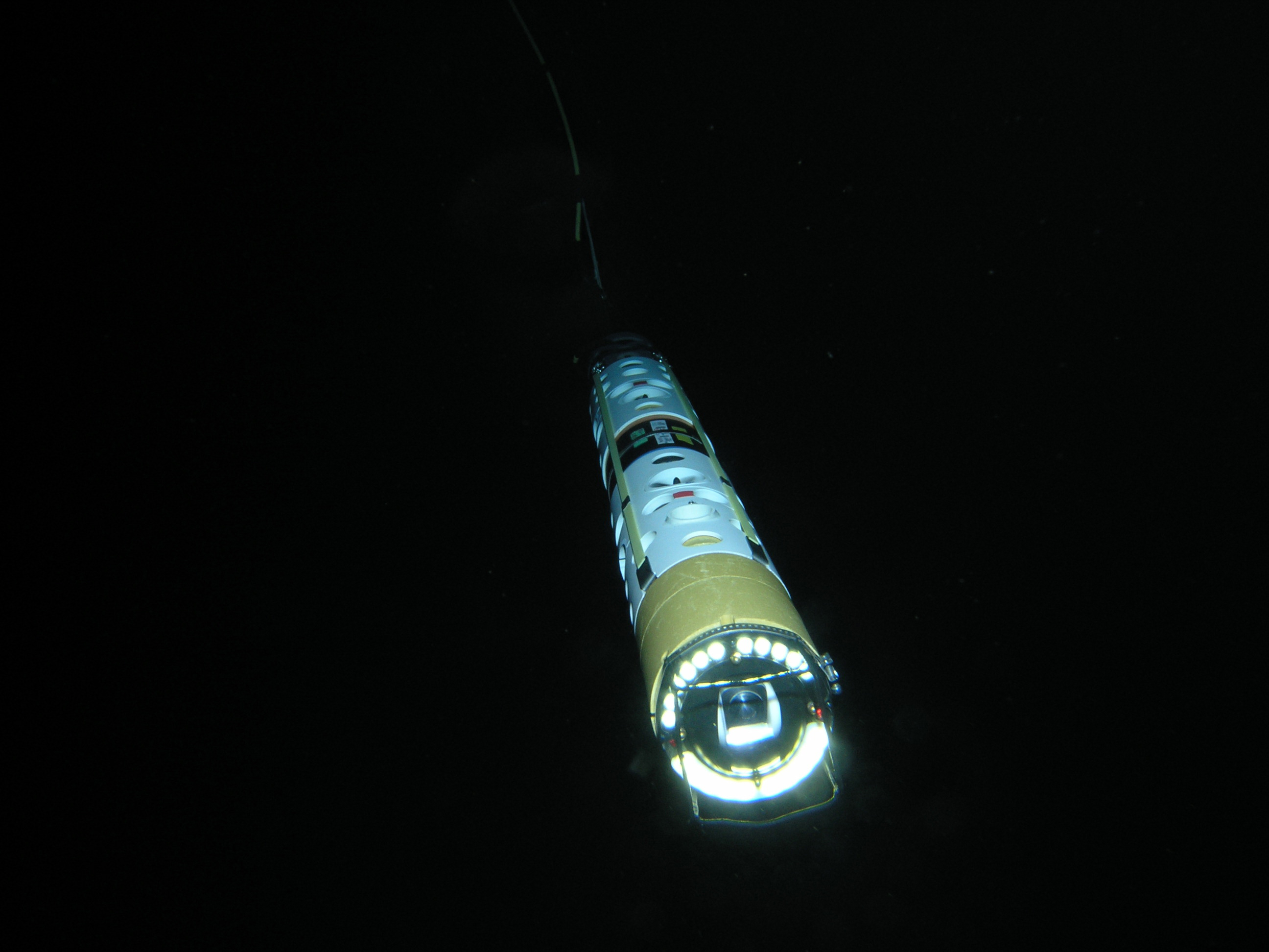 A long tube floats in the water.