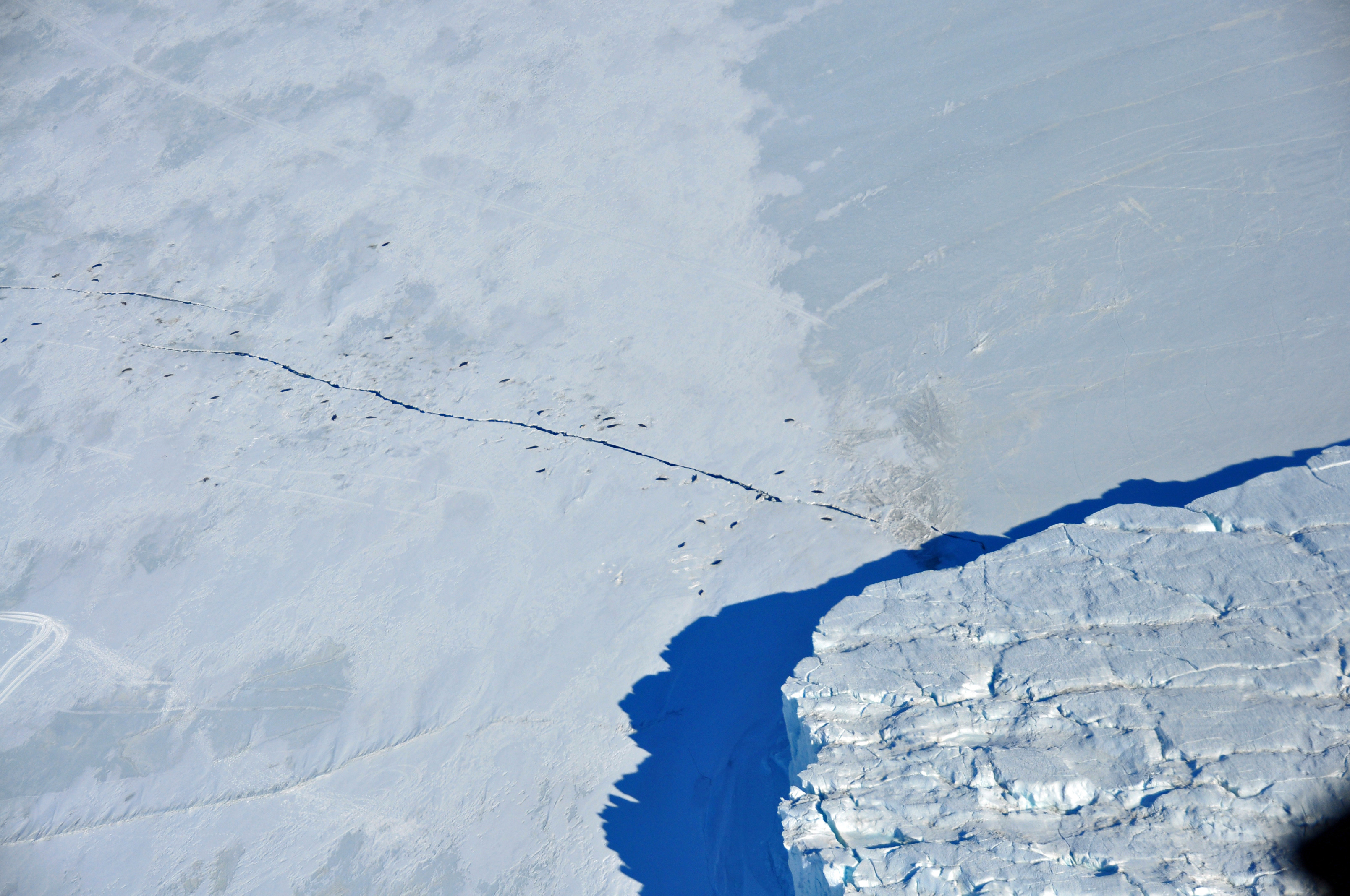 Aerial view of ice covered ocean.