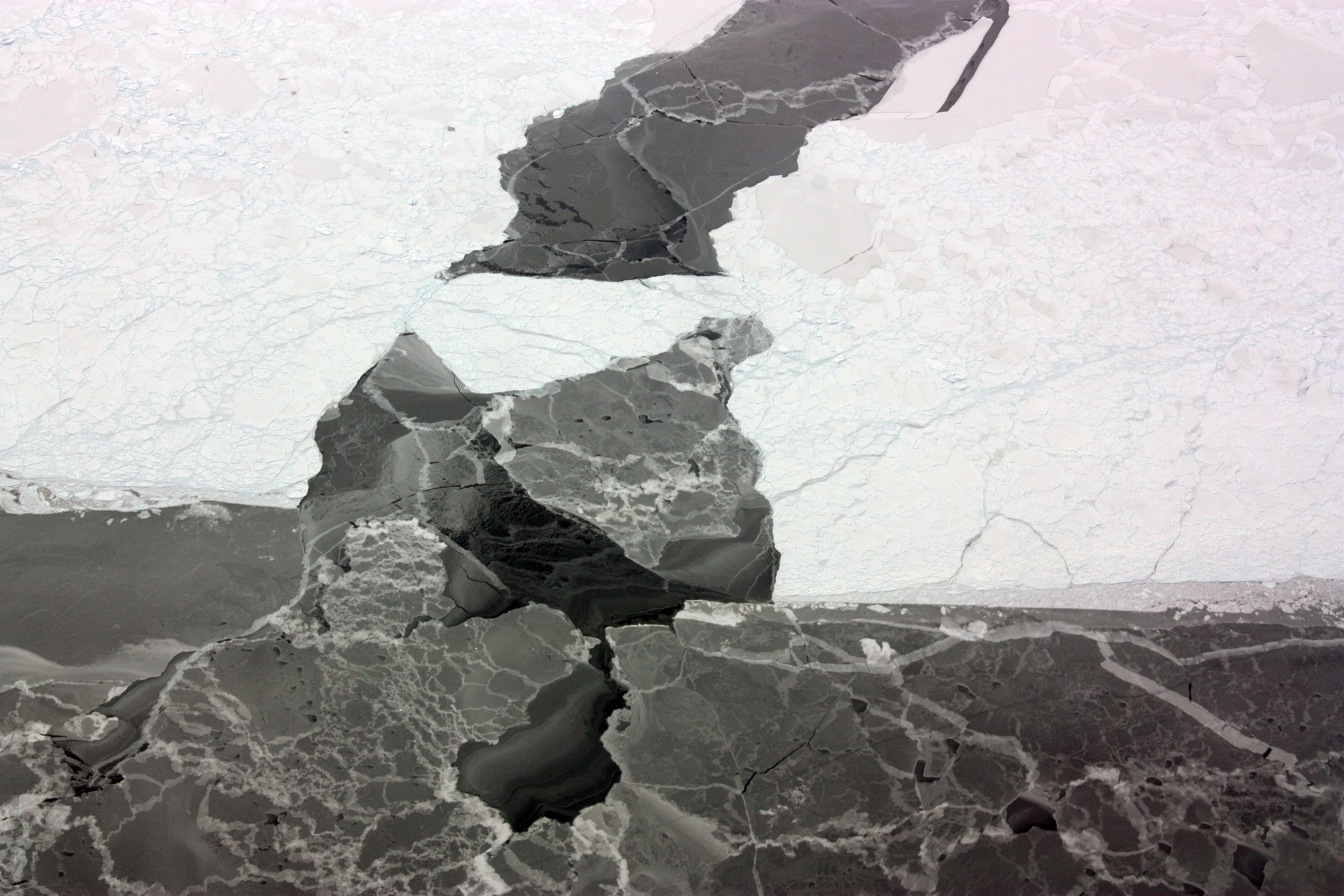 Cracks in ice.