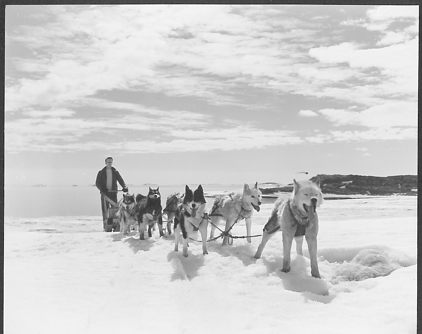 A team of sled dogs and their handler in the snow.