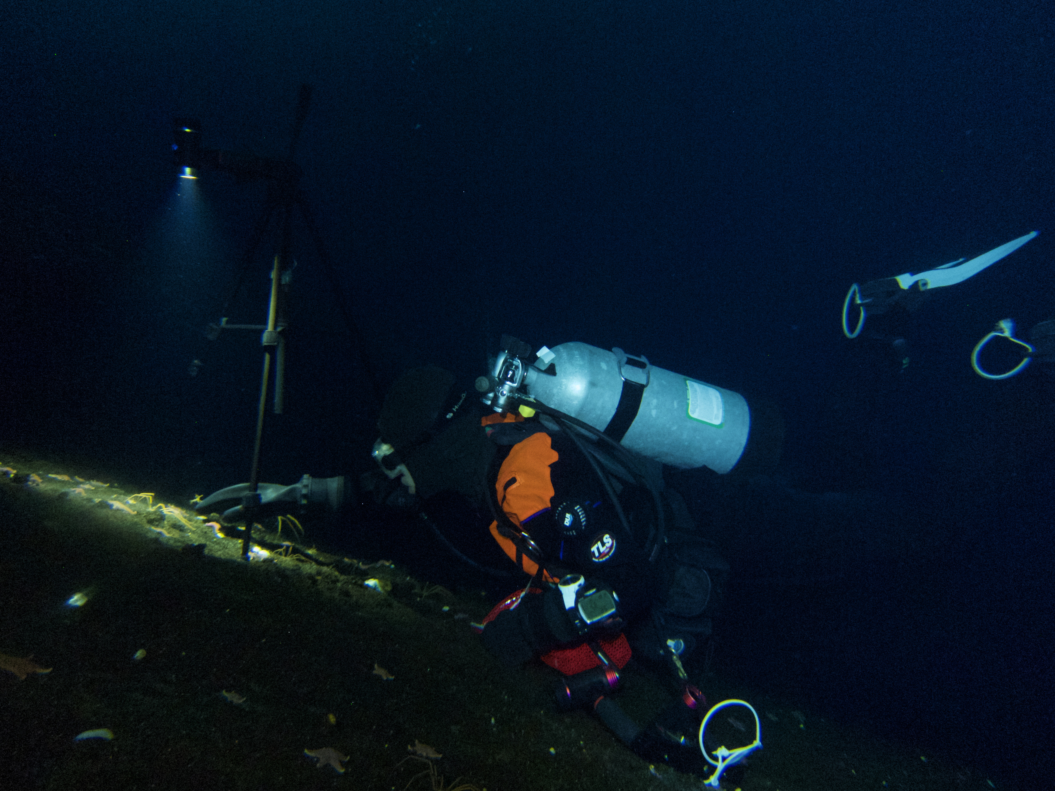 A diver collects benthic samples.