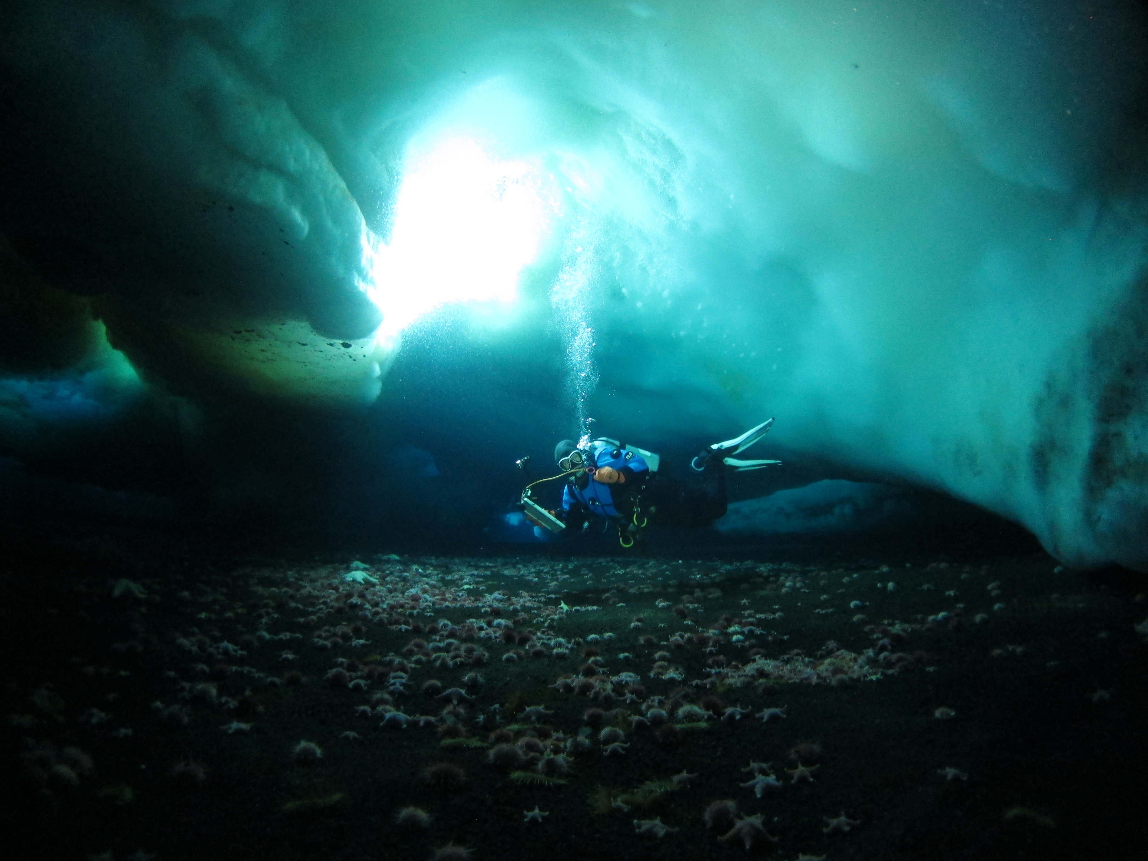 A diver with an art slate, under the water and in ice caves, near the ocean floor.