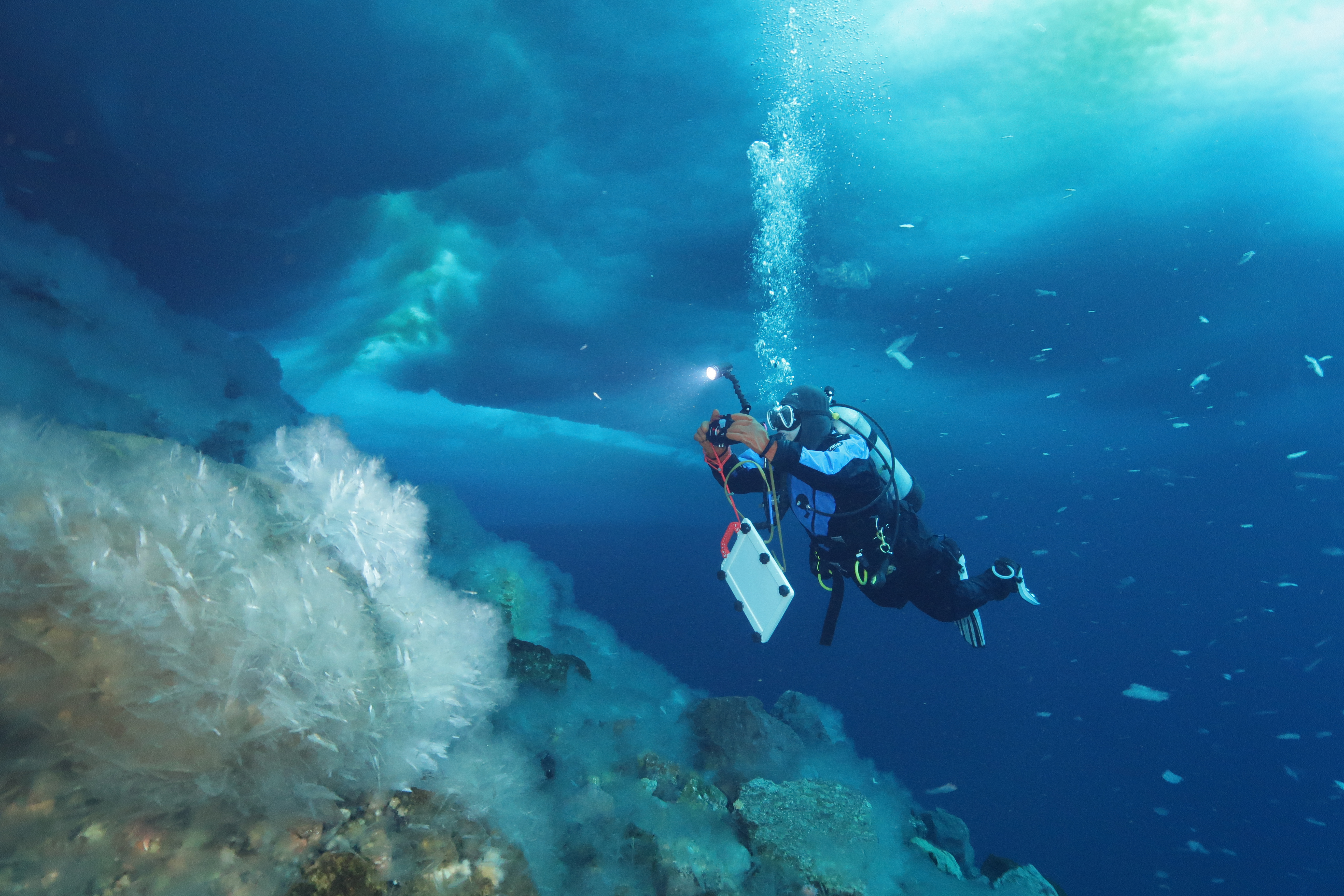 A diver photographing under water.