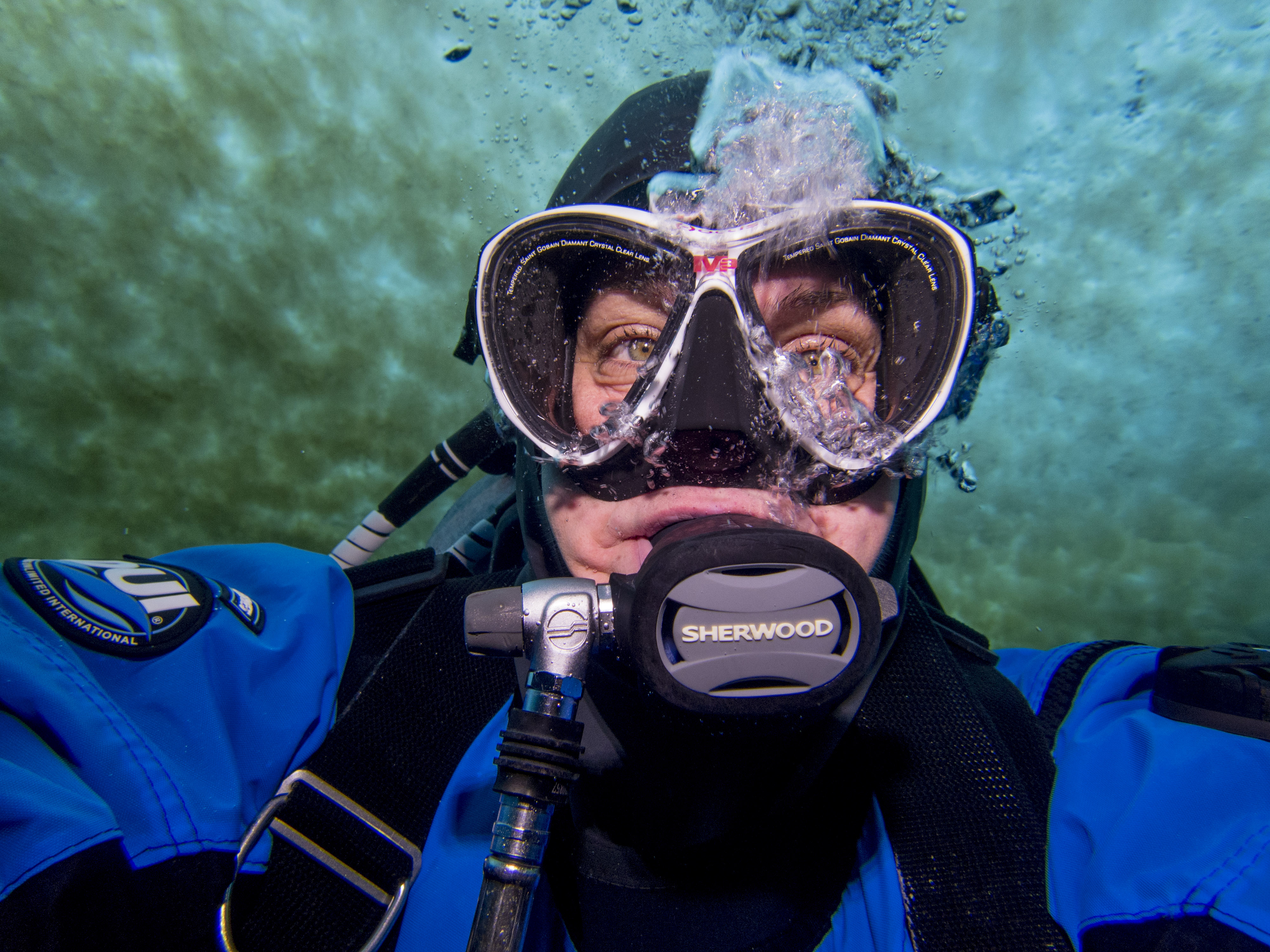 Close-up photo of a diver under the water.