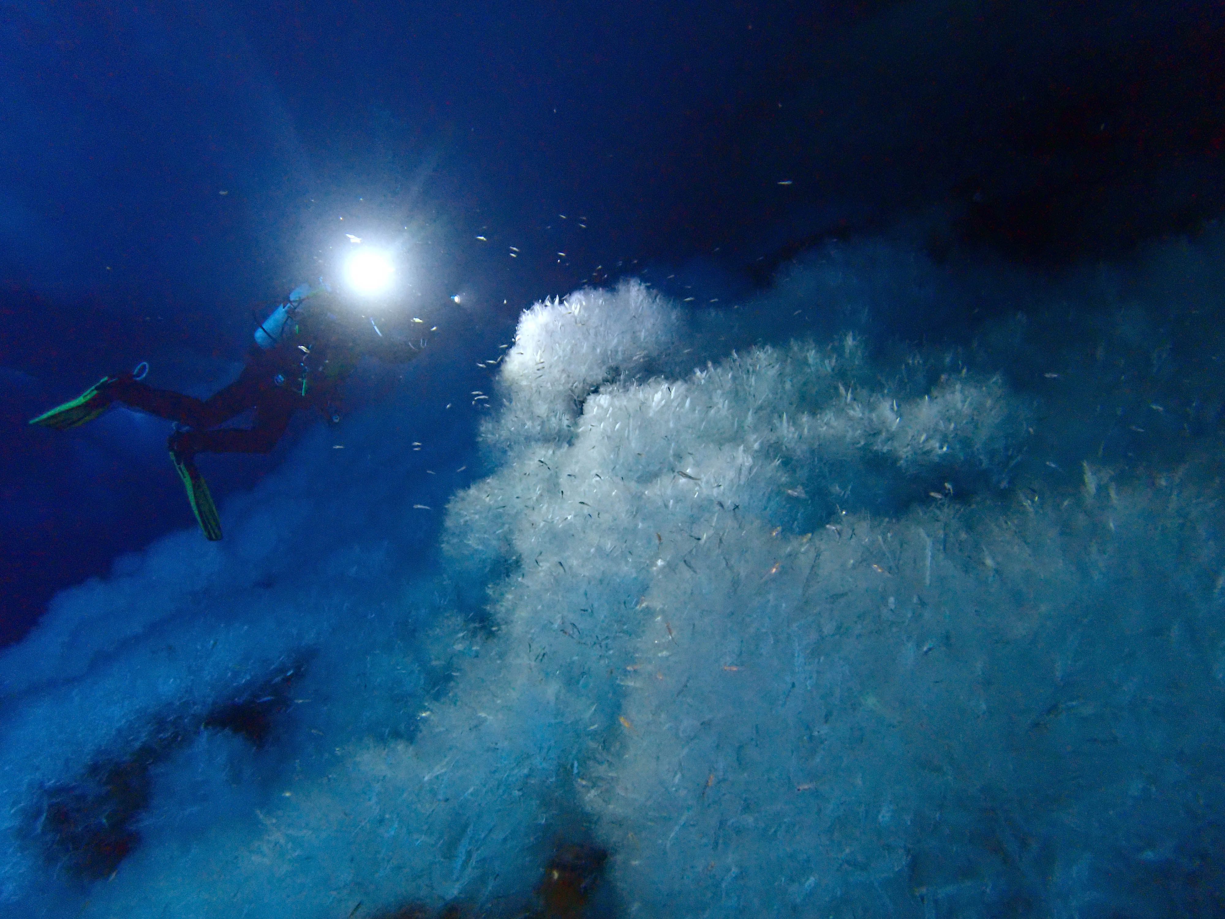 A diver above anchor ice.