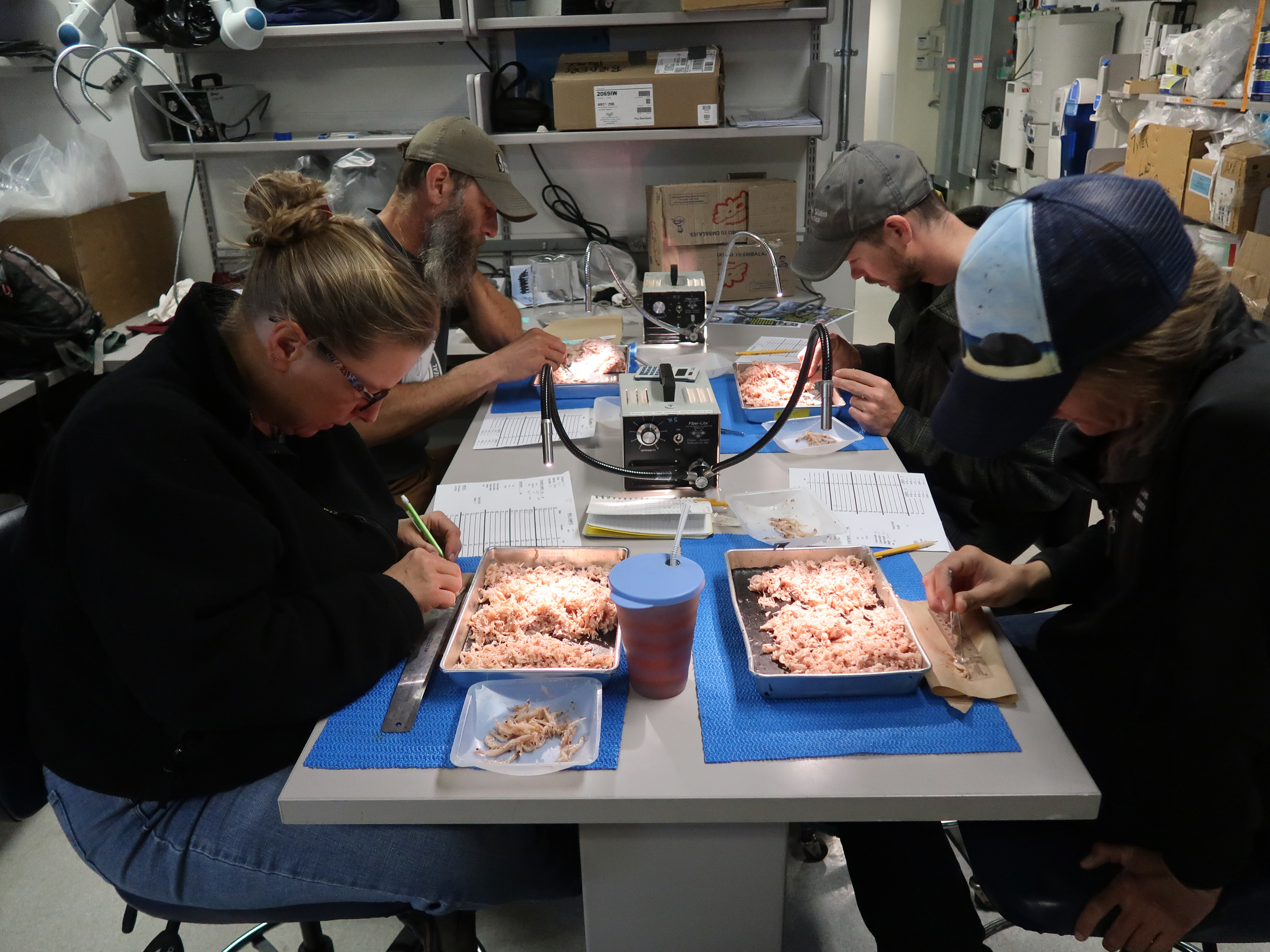 Four people working with specimens at a table.