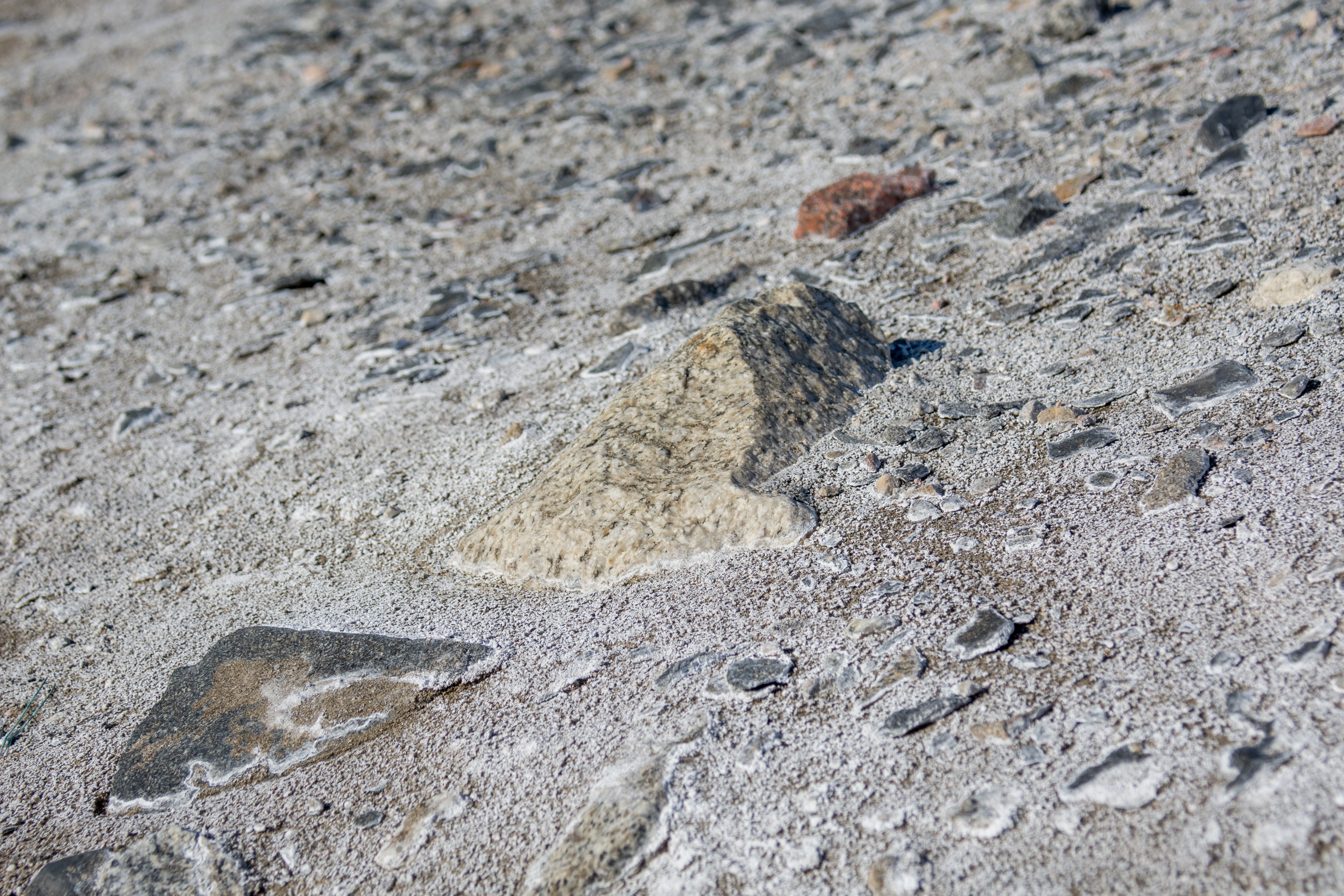 A closeup view of salt deposits on the ground.