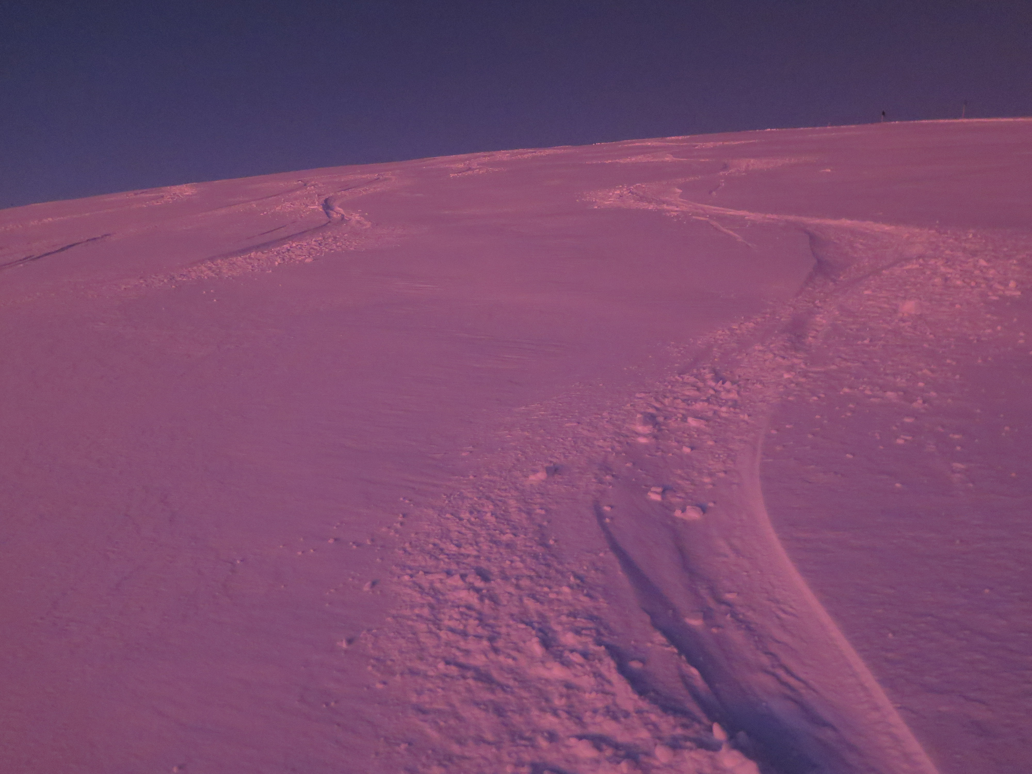 Ski trails on snow.