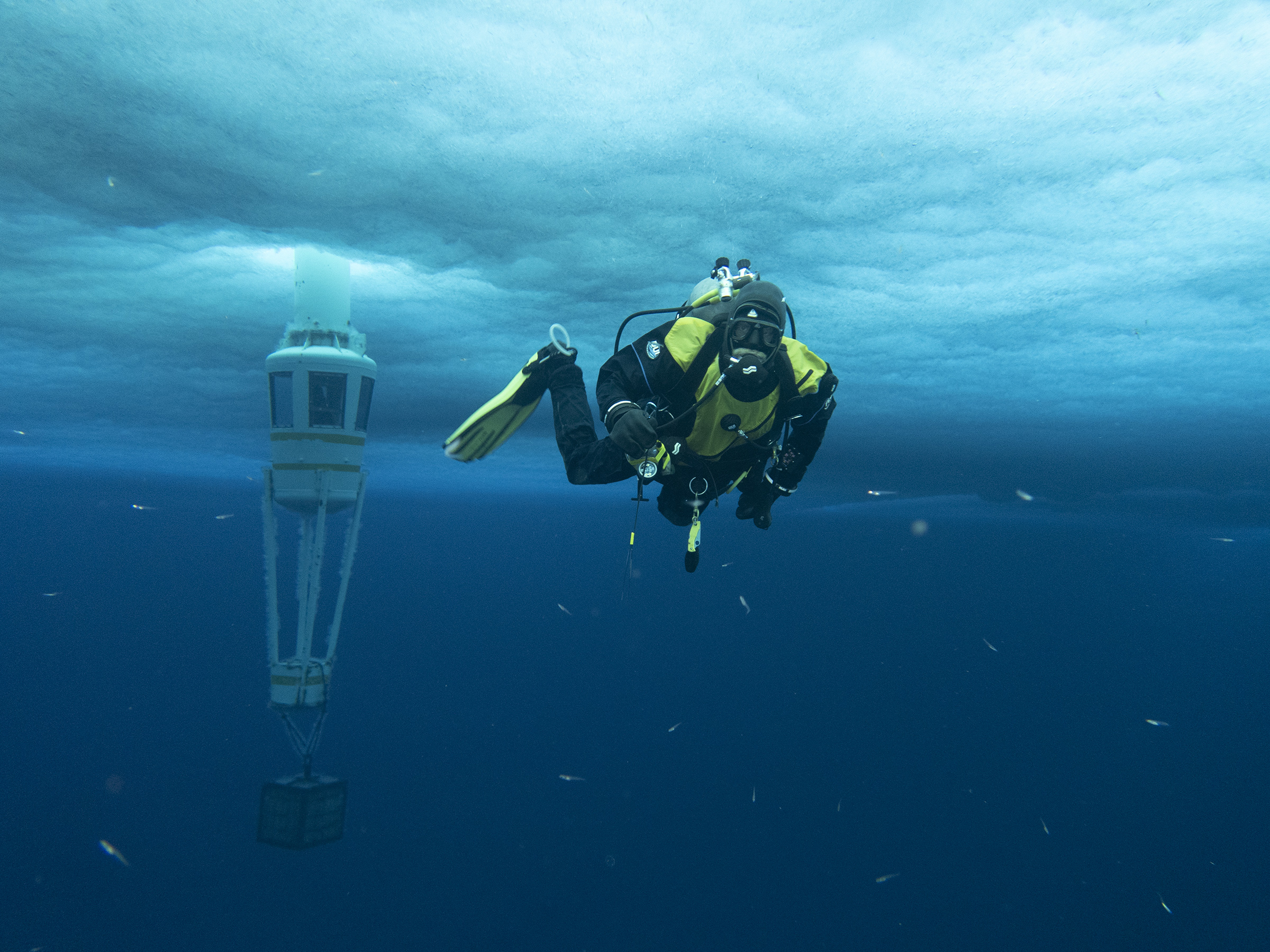 A diver under sea ice. There is a large container extending down from the sea ice behind the diver.