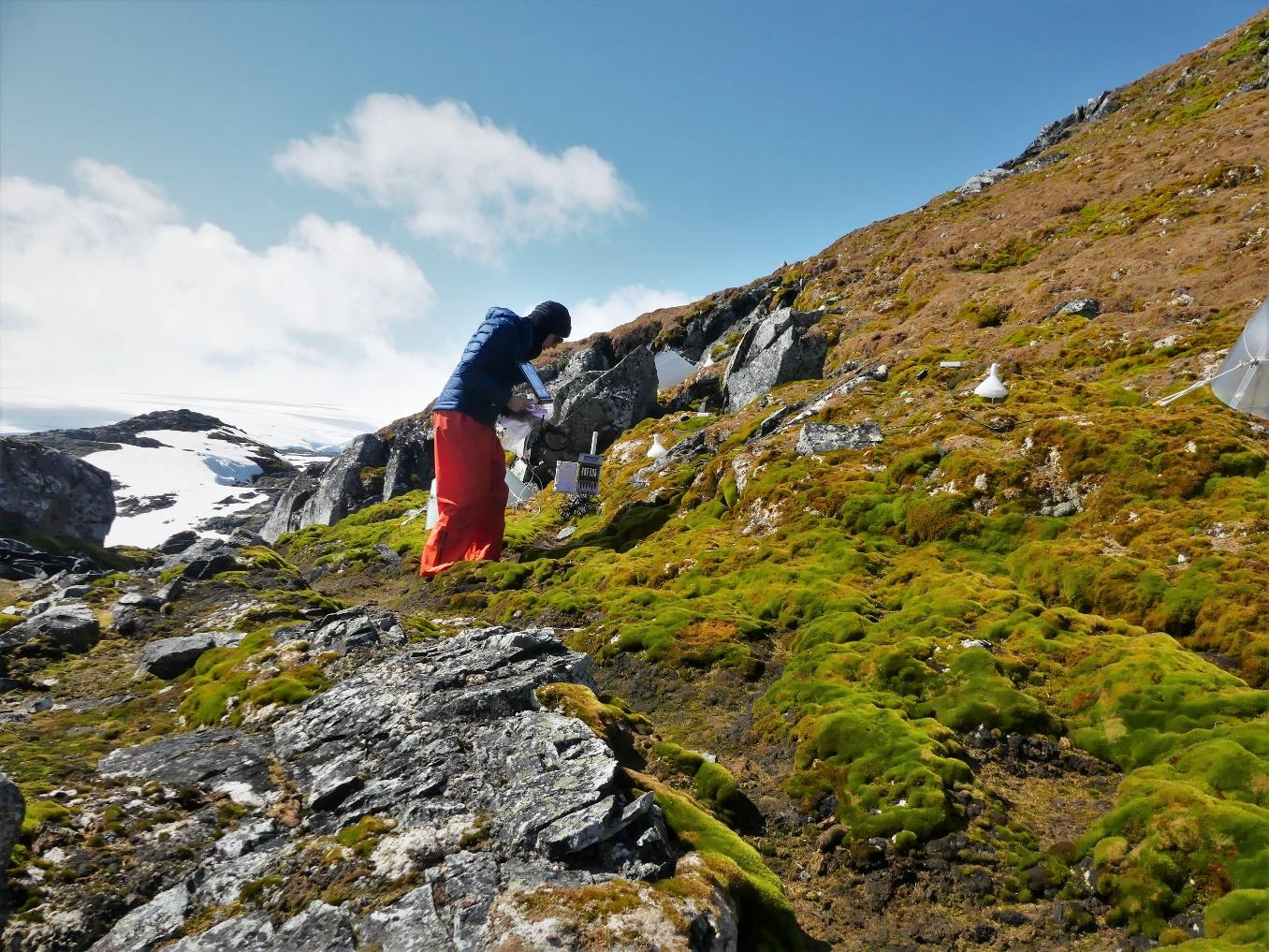 Research on side of mossy hill checking data collection instrument