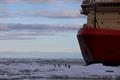 A group of four penguins on an ice sheet in front of a large red ship