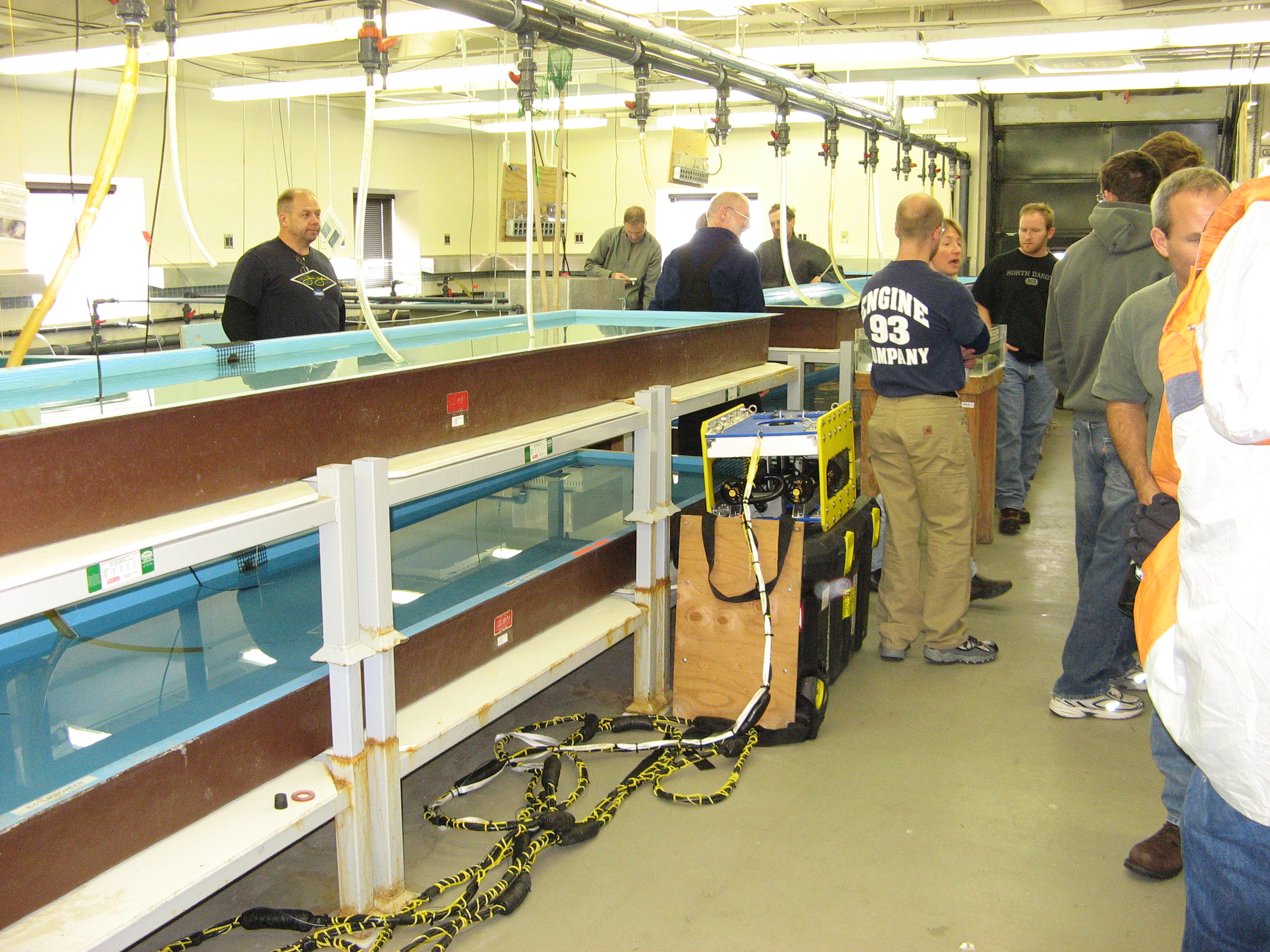 People in a room with aquariums.