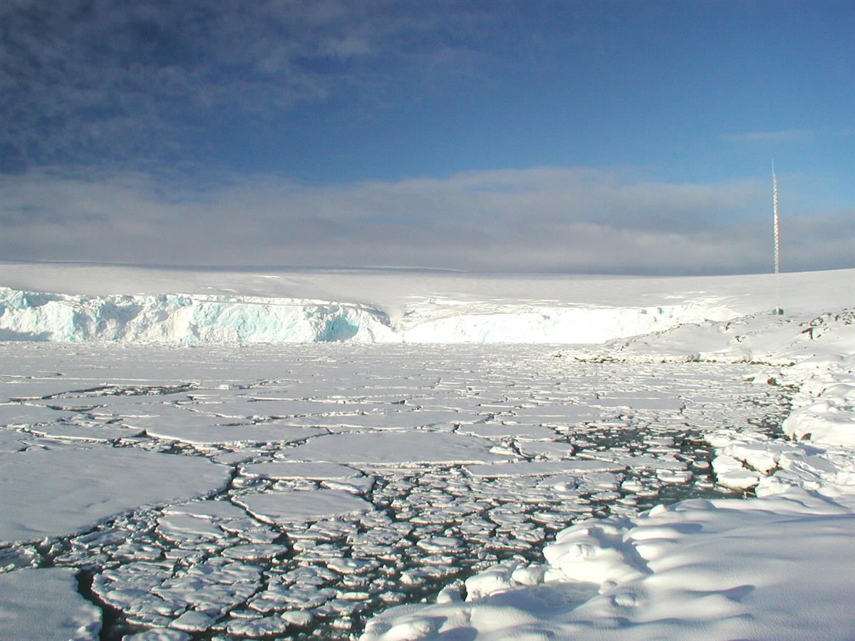 Antarctic Photo Library - Photo Details - ARTHURHARBOR1.JPG