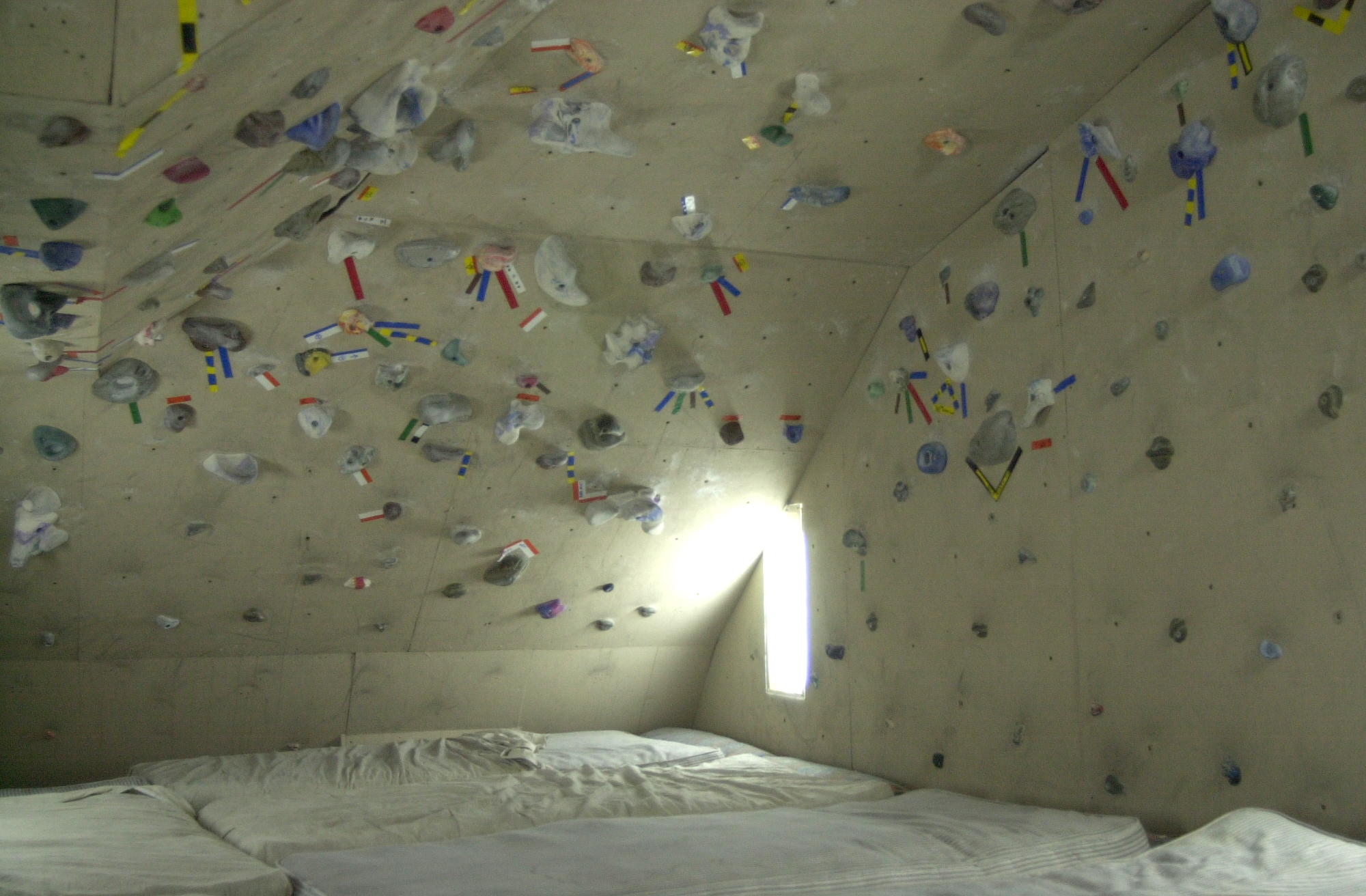 A room with plastic rocks on the wall.