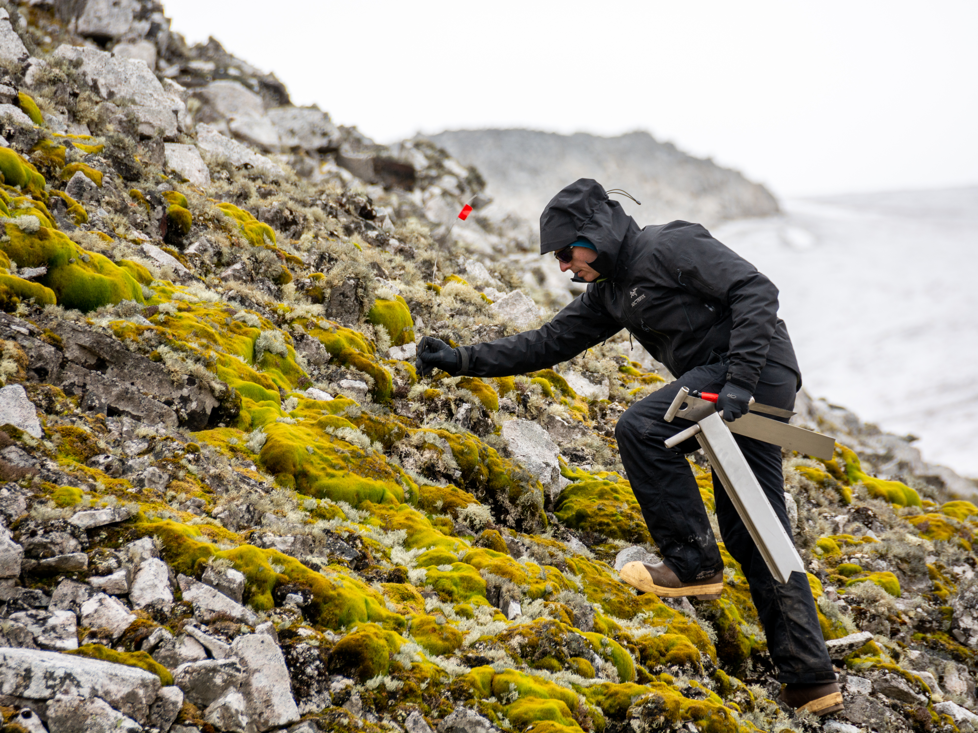 A scientist holding equipment climbs mossy rocks.