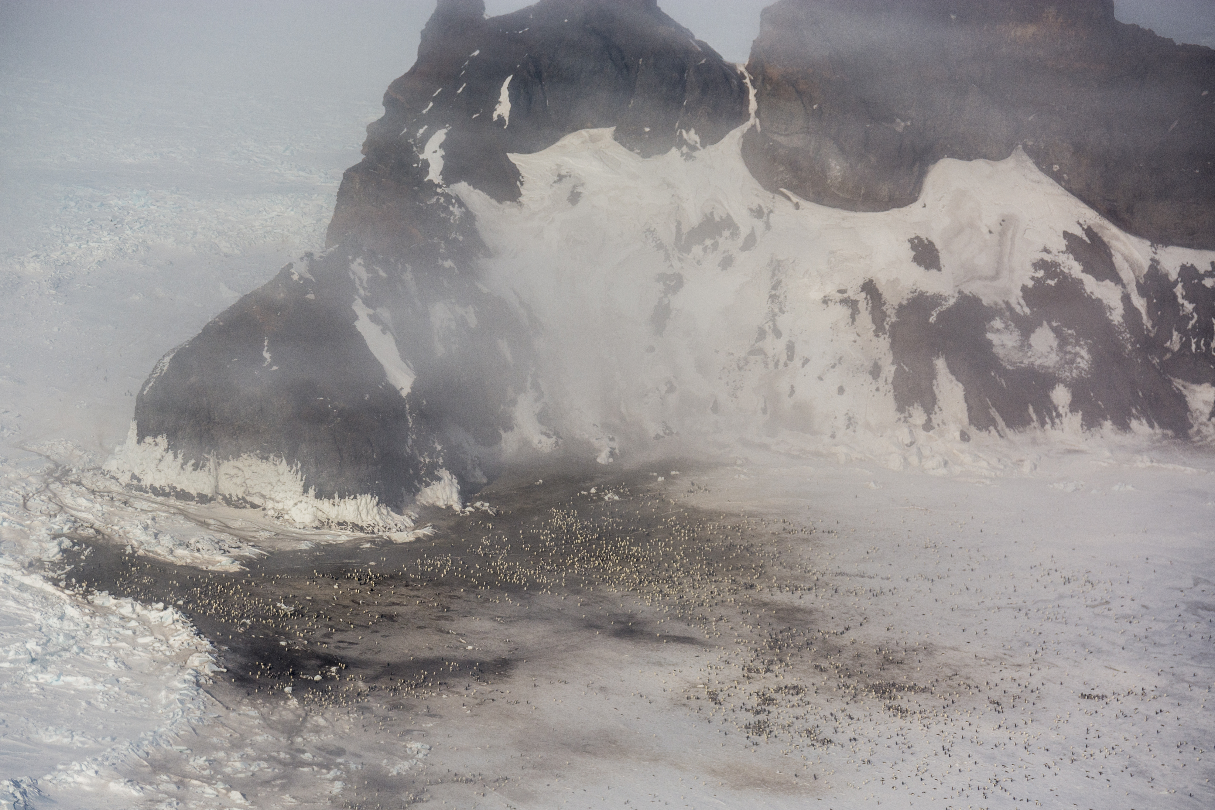 An aerial view of a icy landscape with hundreds of penguins.