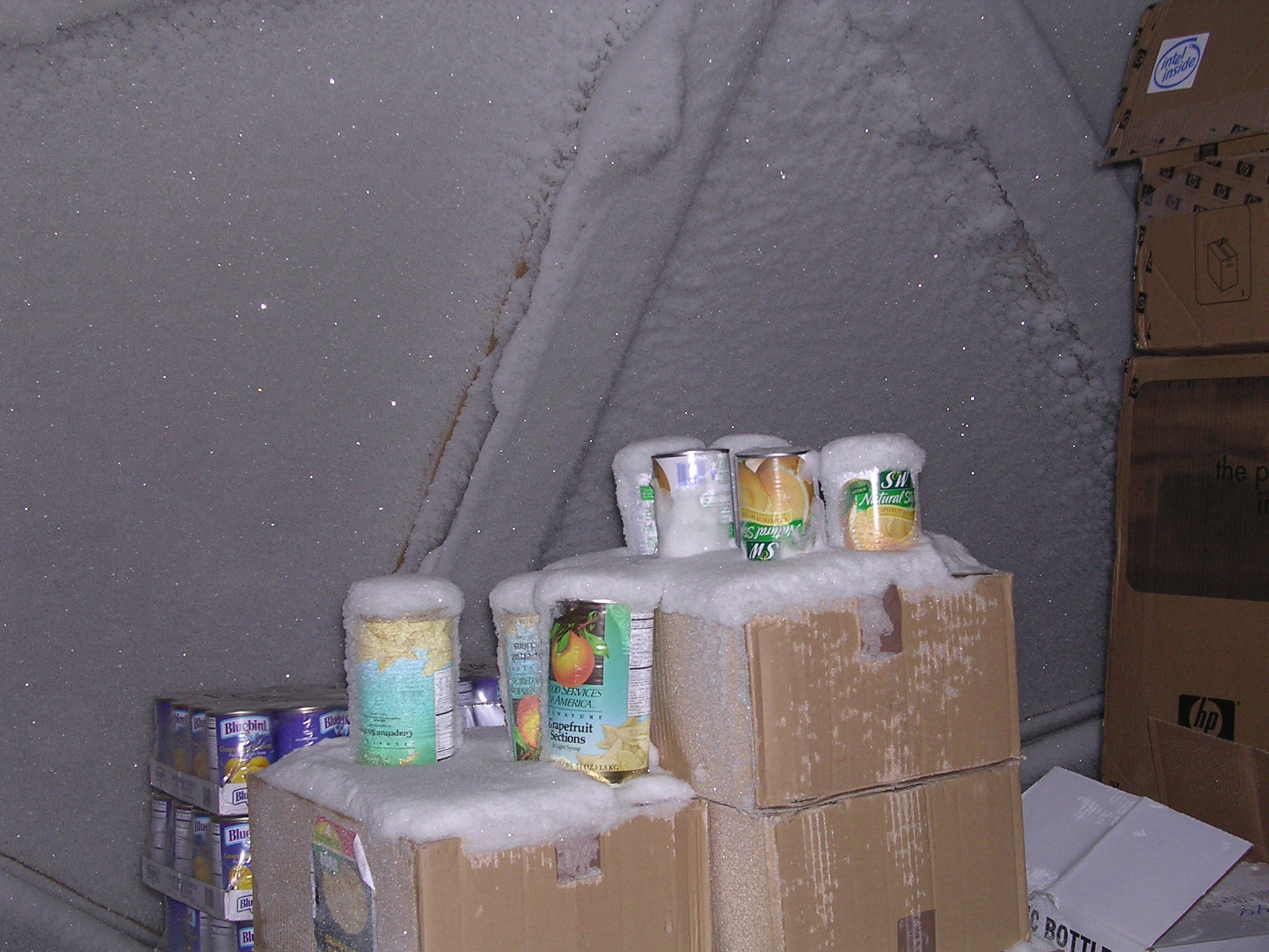 Cans of fruit covered with frost on cardboard boxes. 