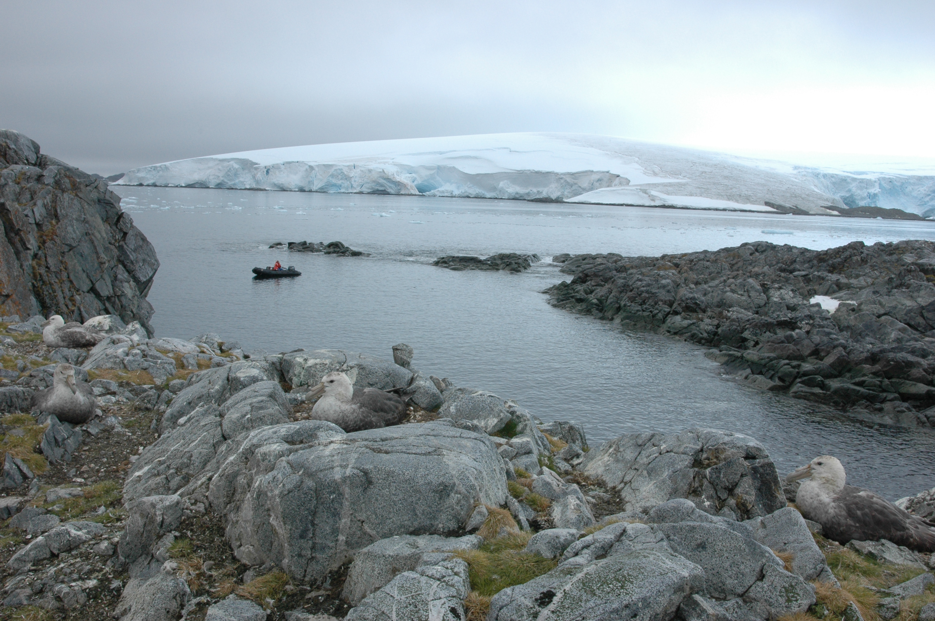 Small boat navigates in the distance from bird nests.