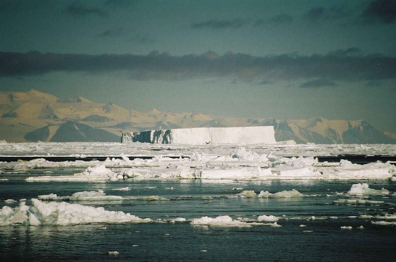 Mountains and icebergs.