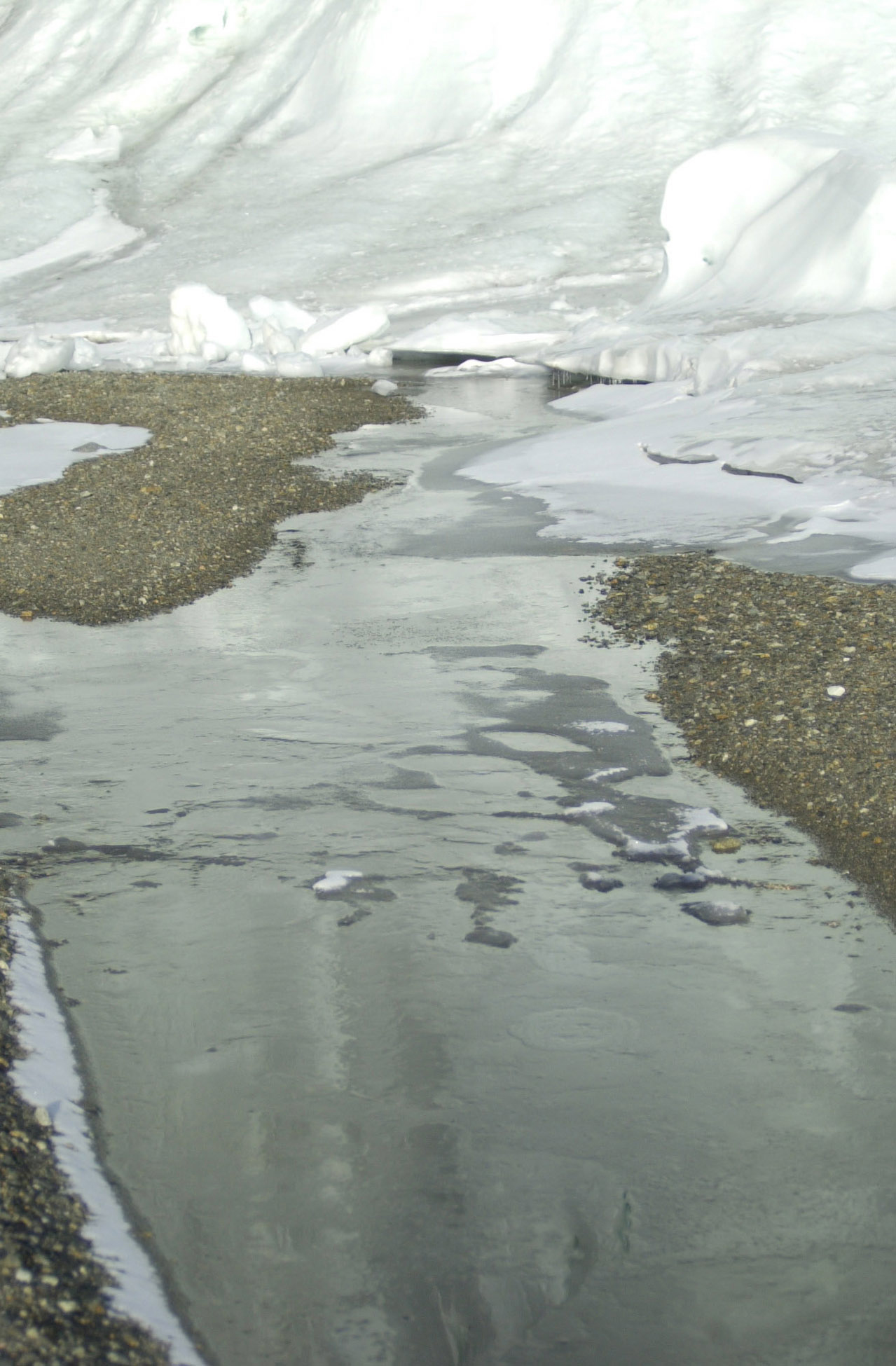 A shallow stream of water runs from a glacier.