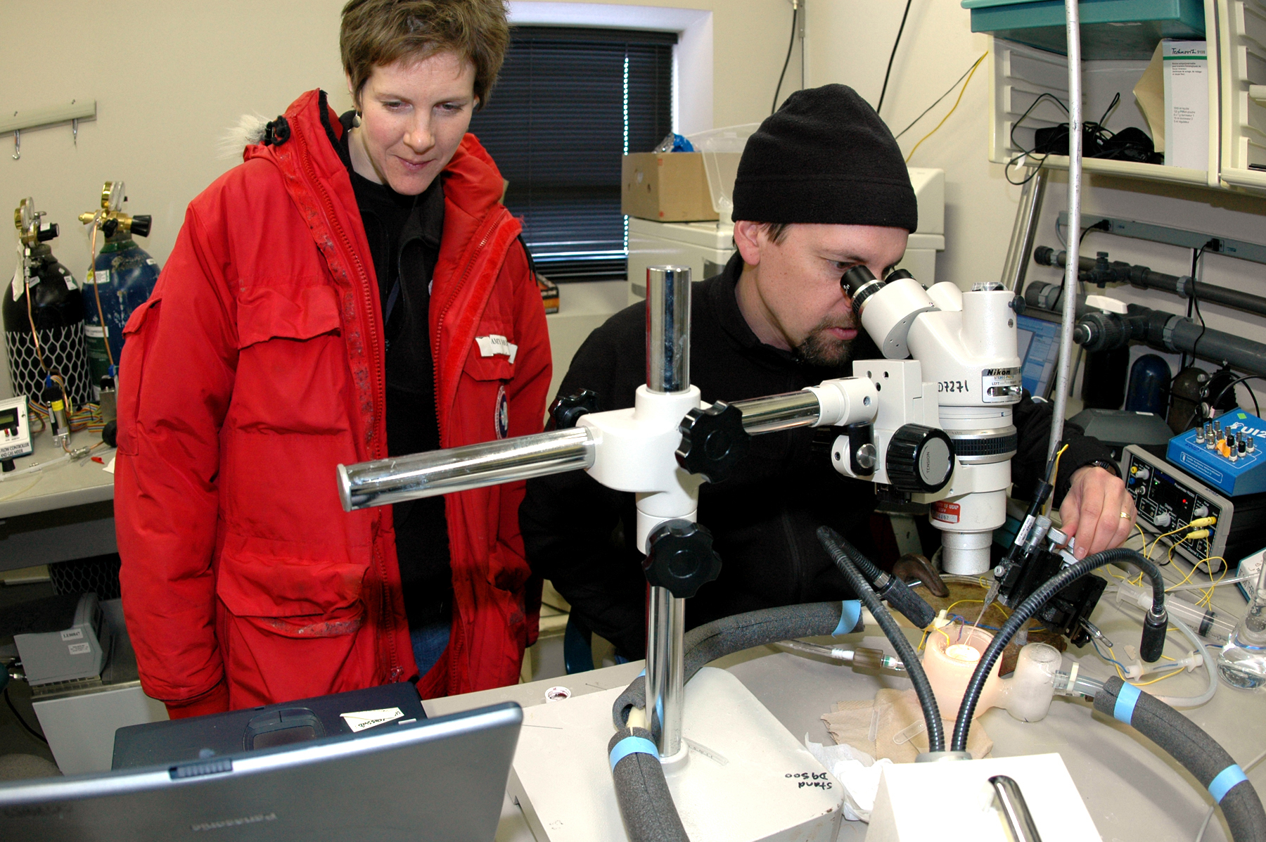 A man looks in a microscope while a woman watches.