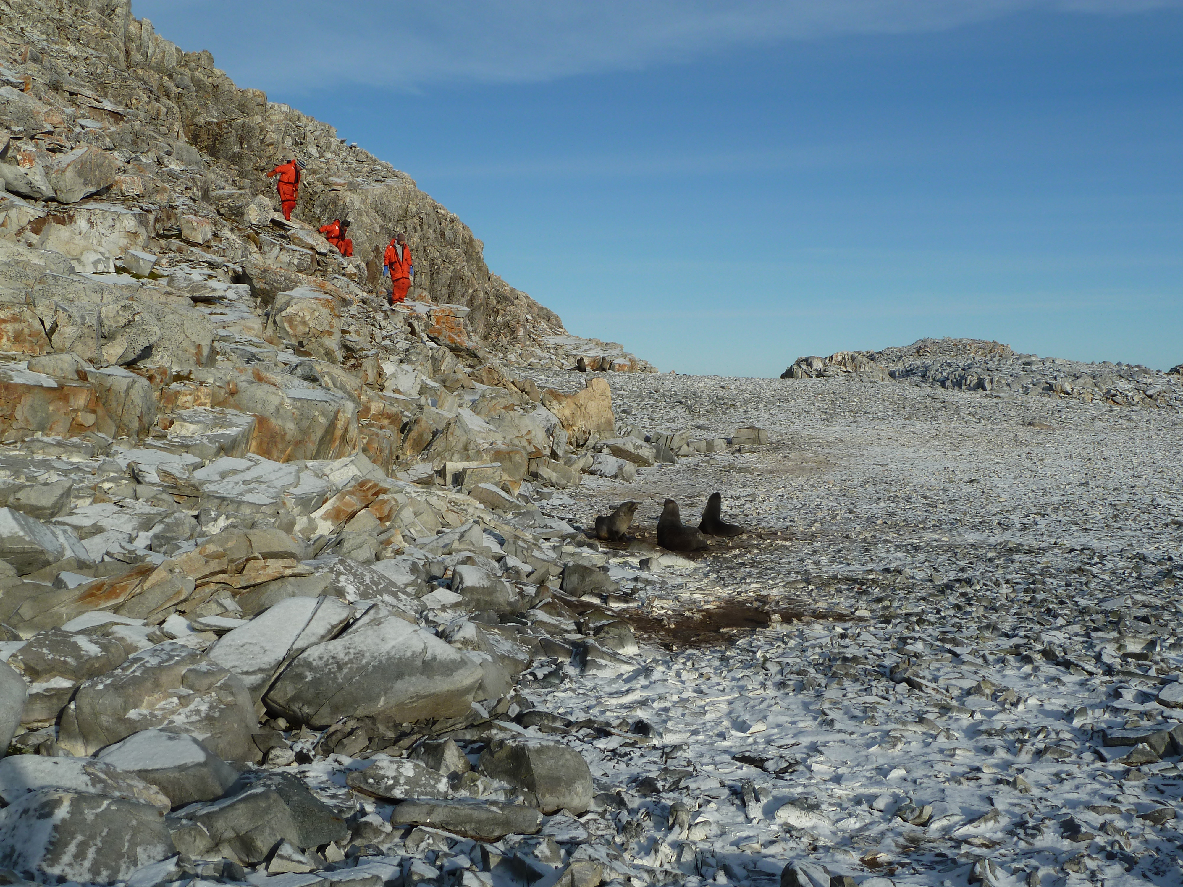 Seals, rocky terrain, people.