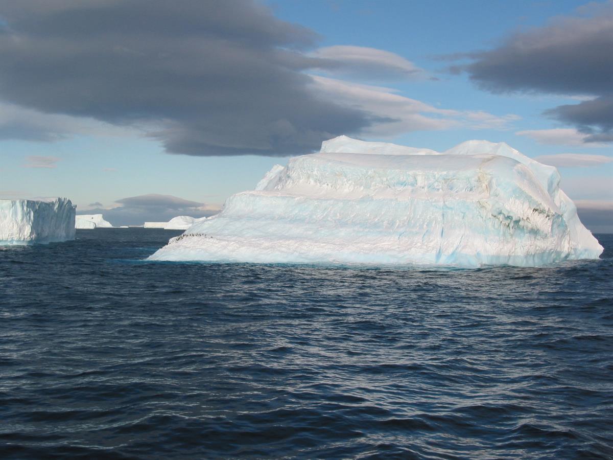 Antarctic Photo Library - Photo Details - PENGUINSONBERG2.JPG