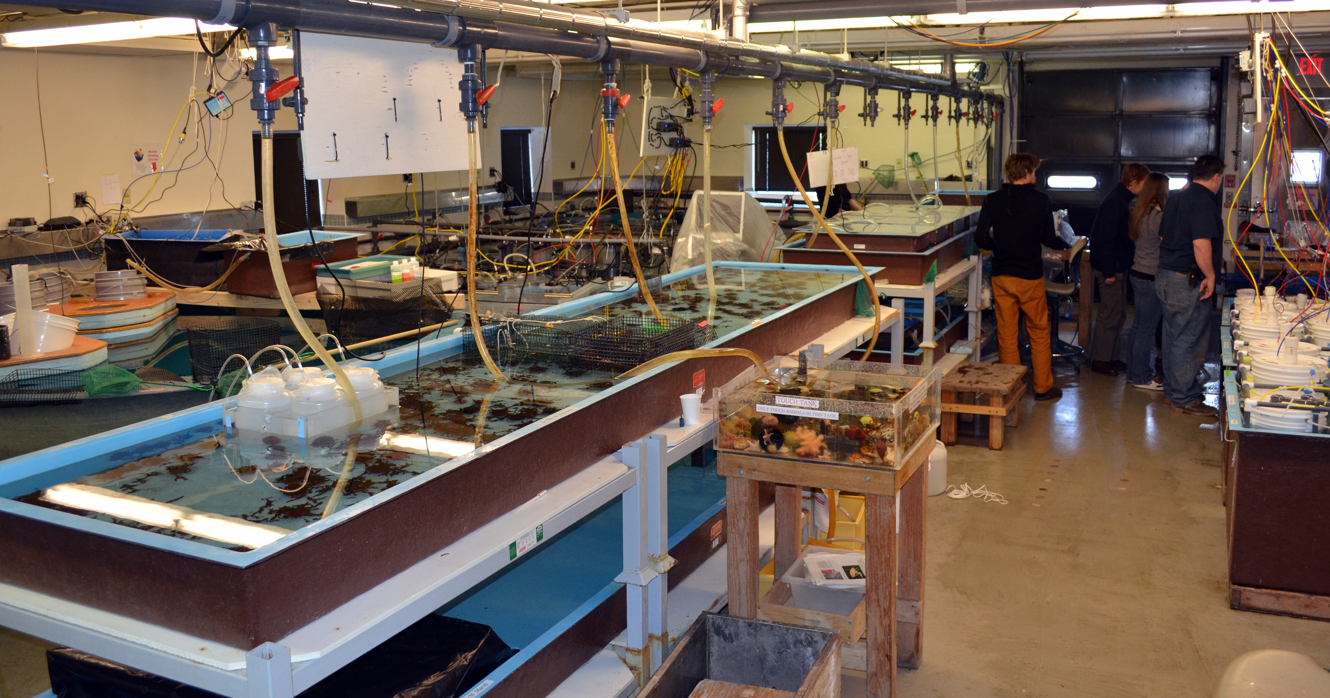 Laboratory filled with aquariums.