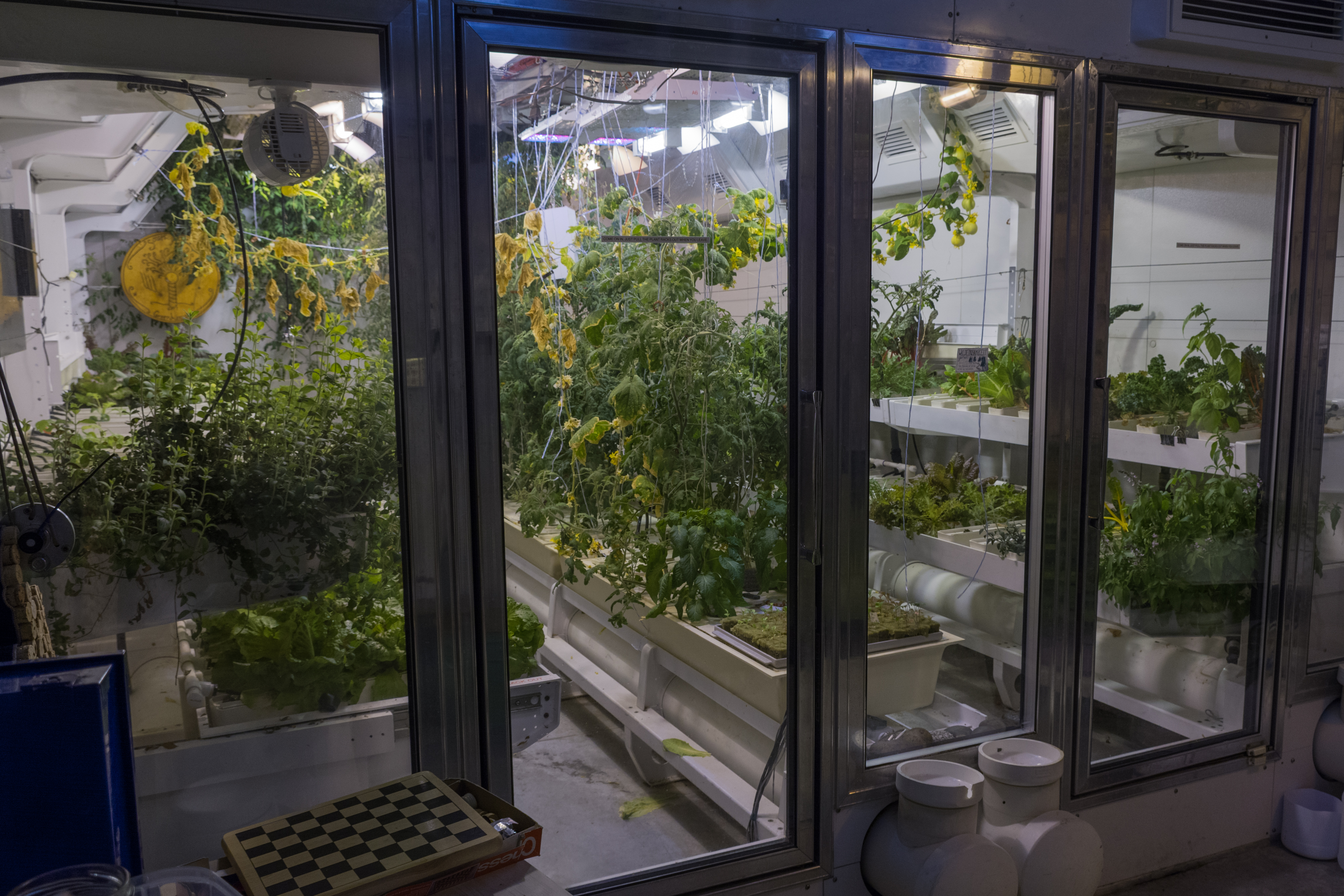 The view looking into the South Pole greenhouse