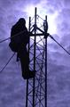 A person on a tower silhouetted against the sky. 