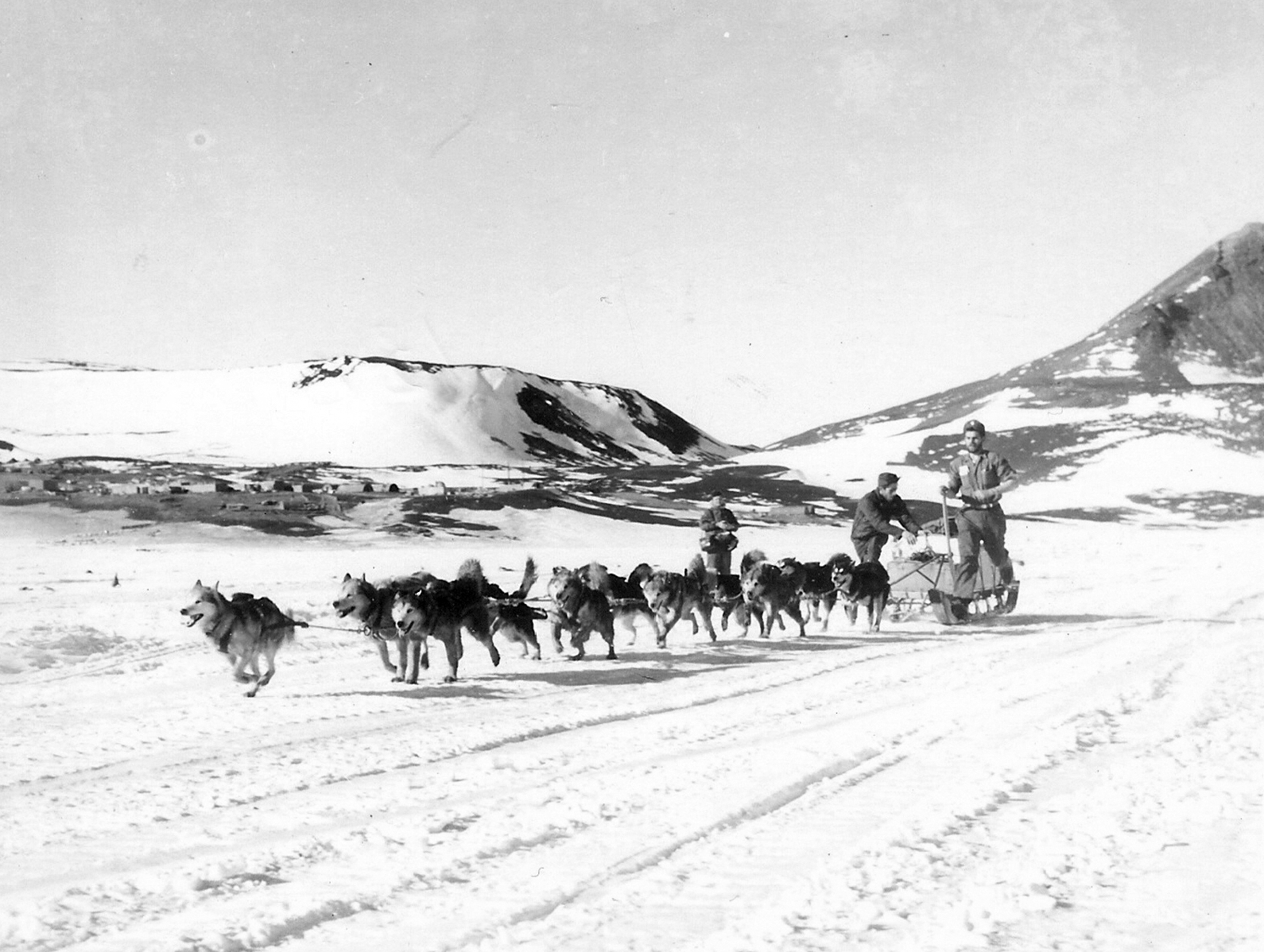 A team of sled dogs pulls a sled across snow.