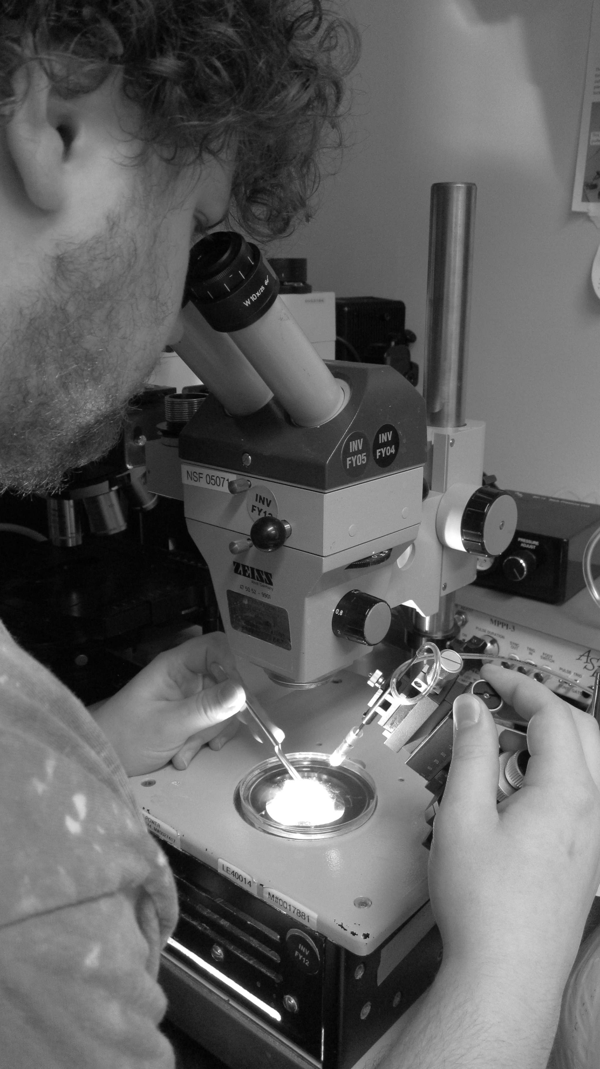 Man looking into a microscope.