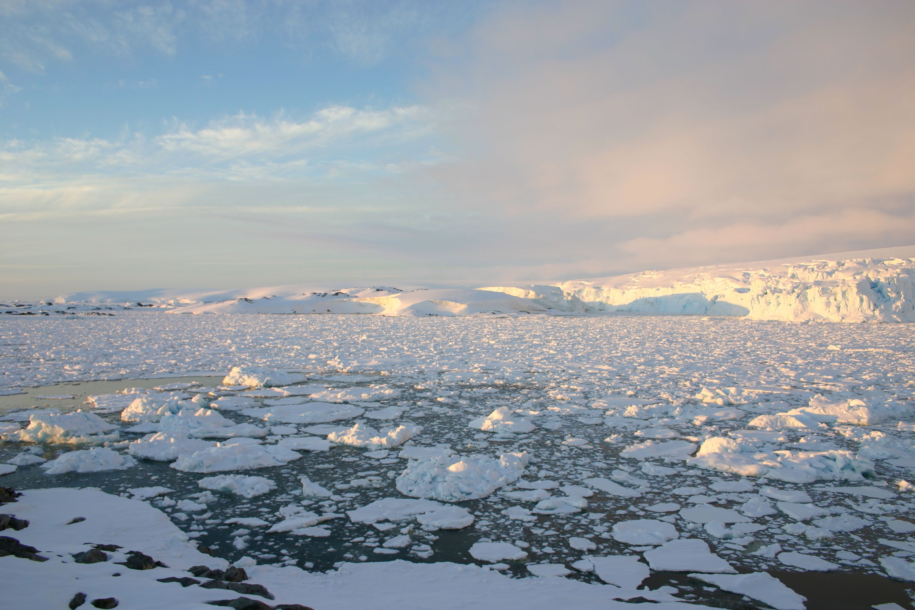 Ice in the ocean.