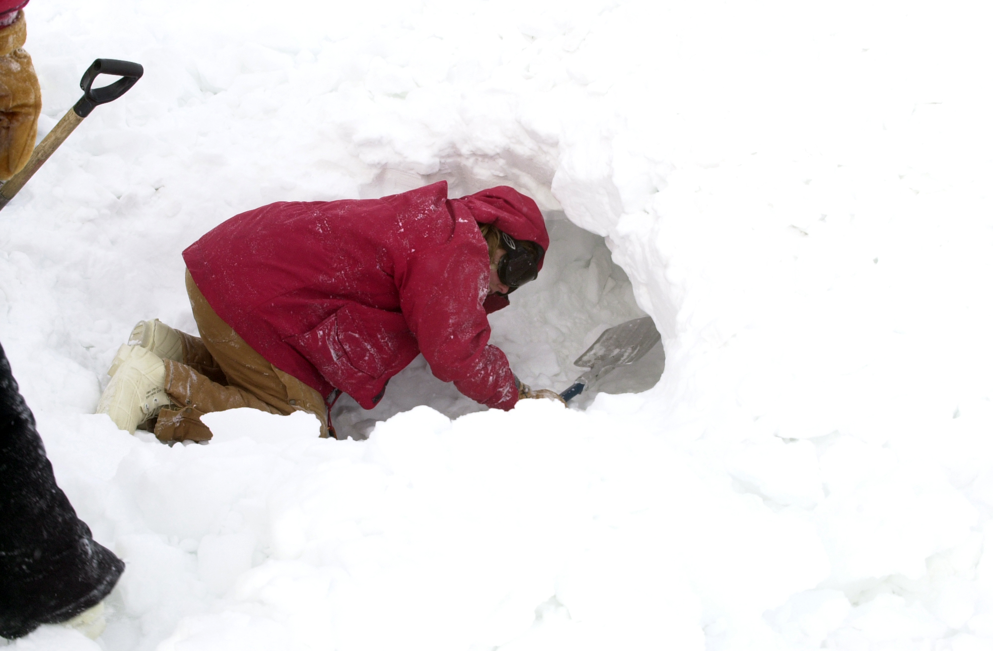 A person in a red parka digs a hole in the snow.