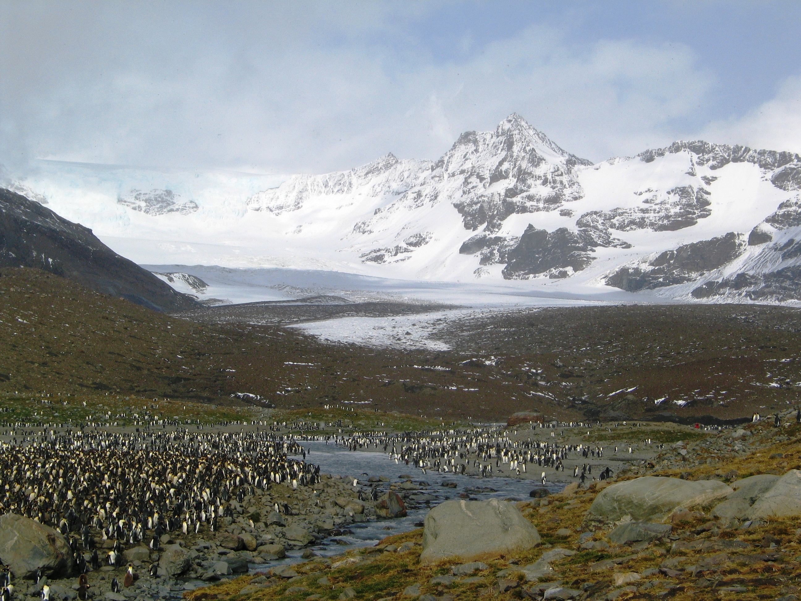 Mountains and penguins.