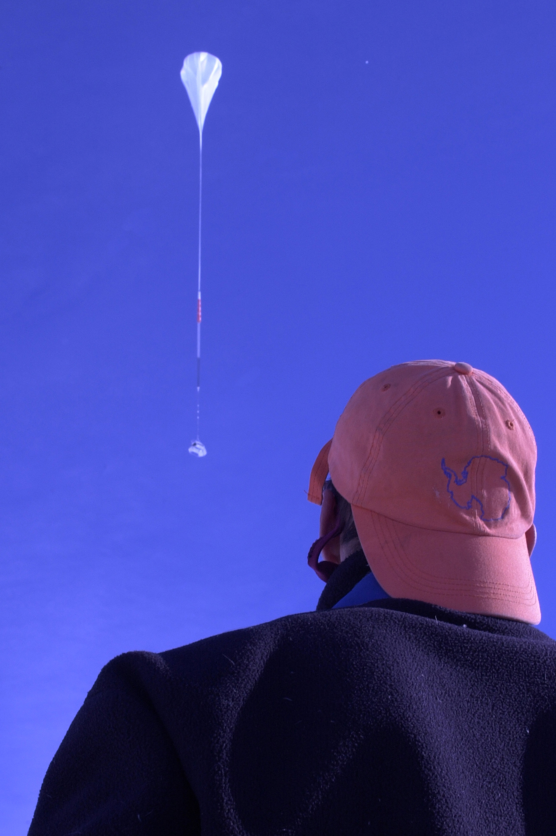 A person, seen from behind, watches a balloon float in the sky.