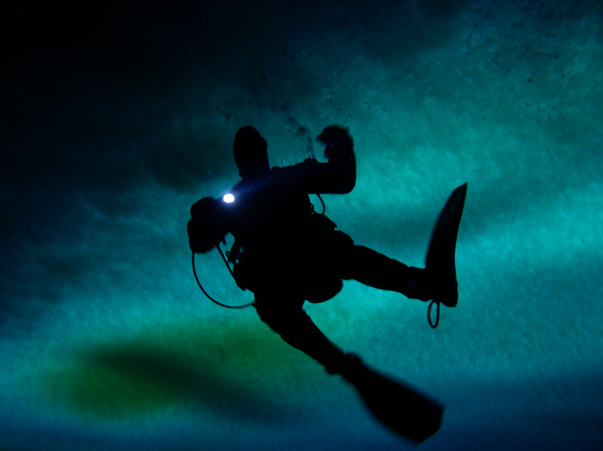 Diver swims under water.