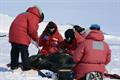People in heavy red coats work on sea ice with seals.