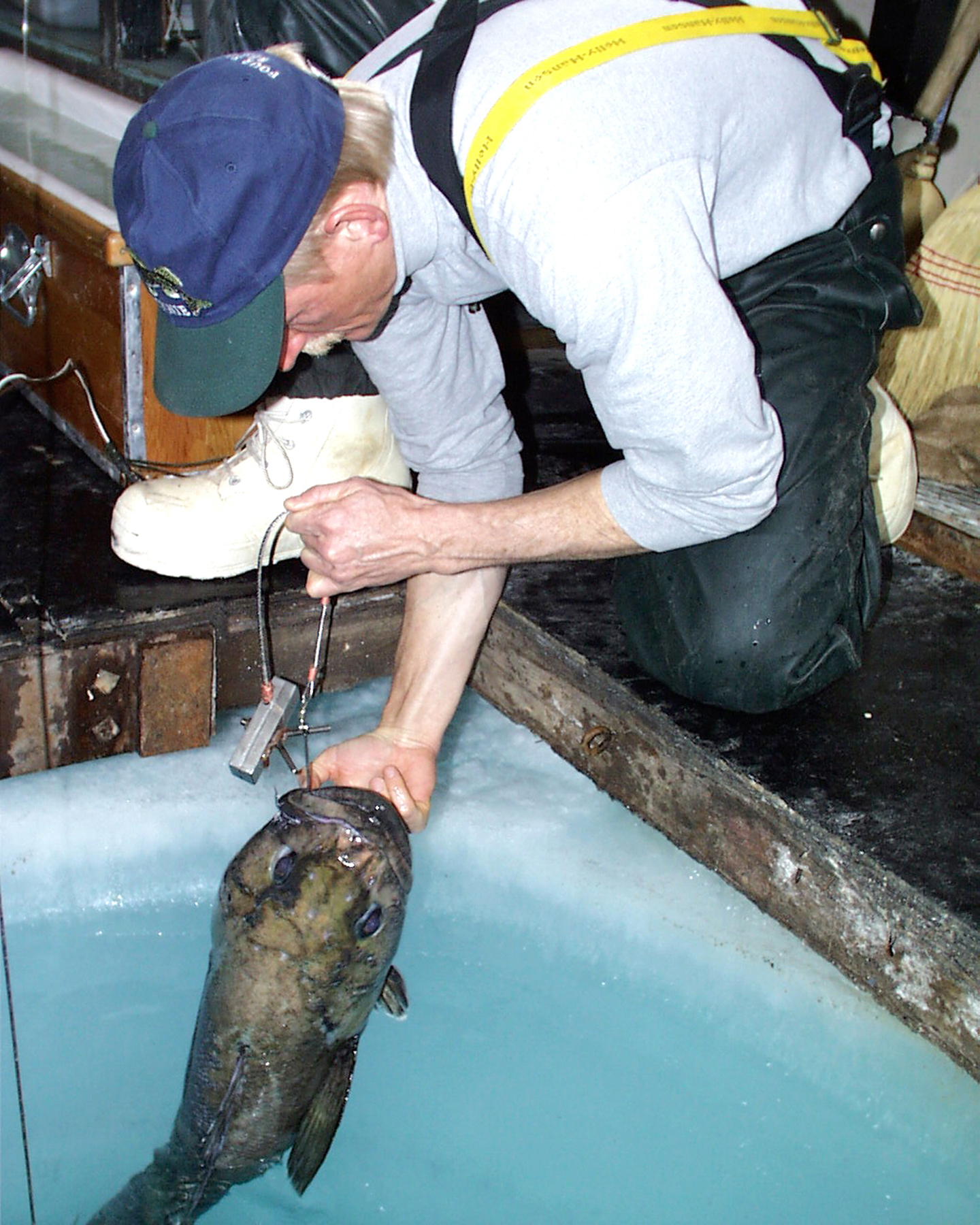 A man pulls a large fish out of a hole in the ice.