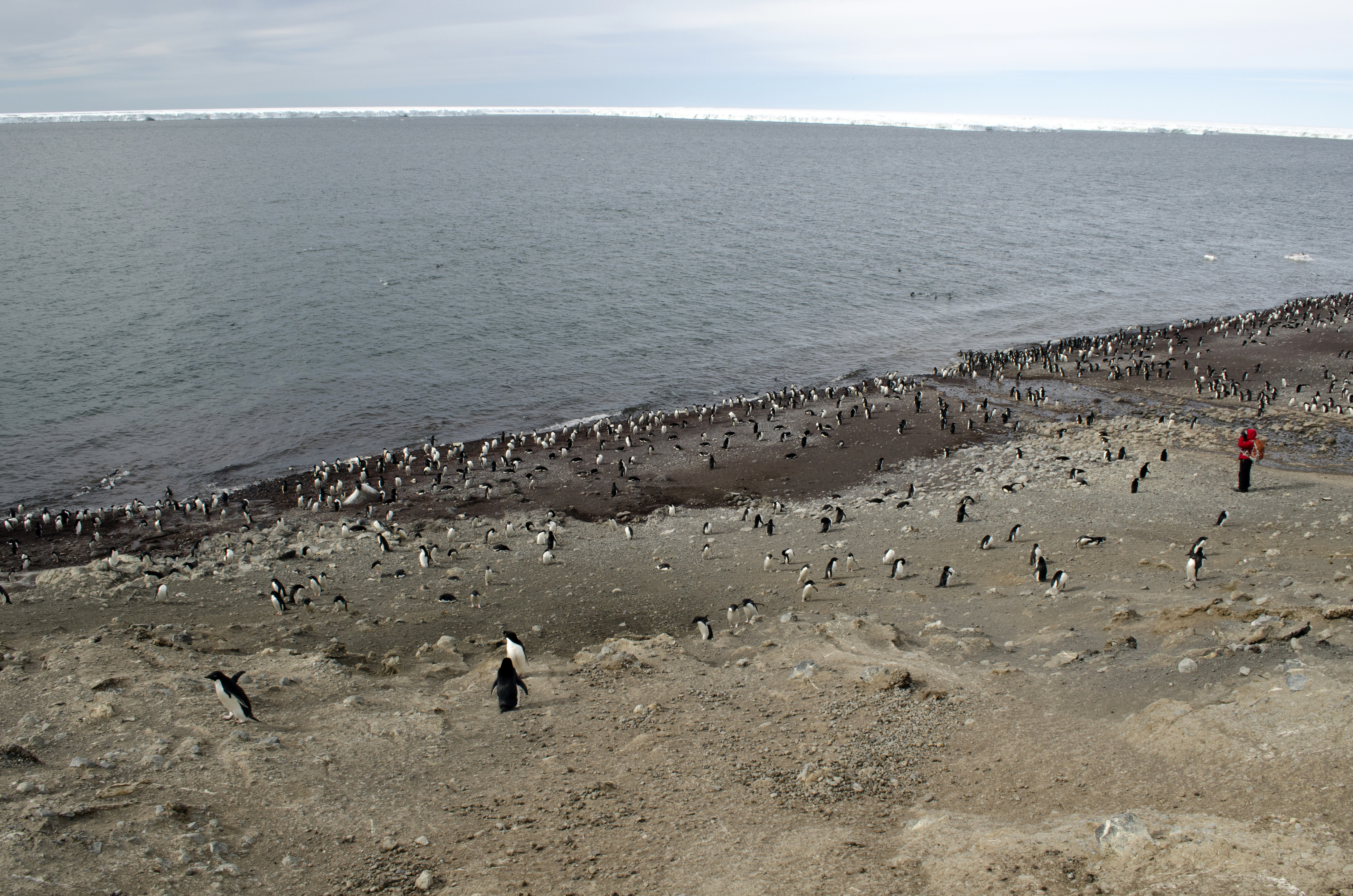 Person stands on beach.