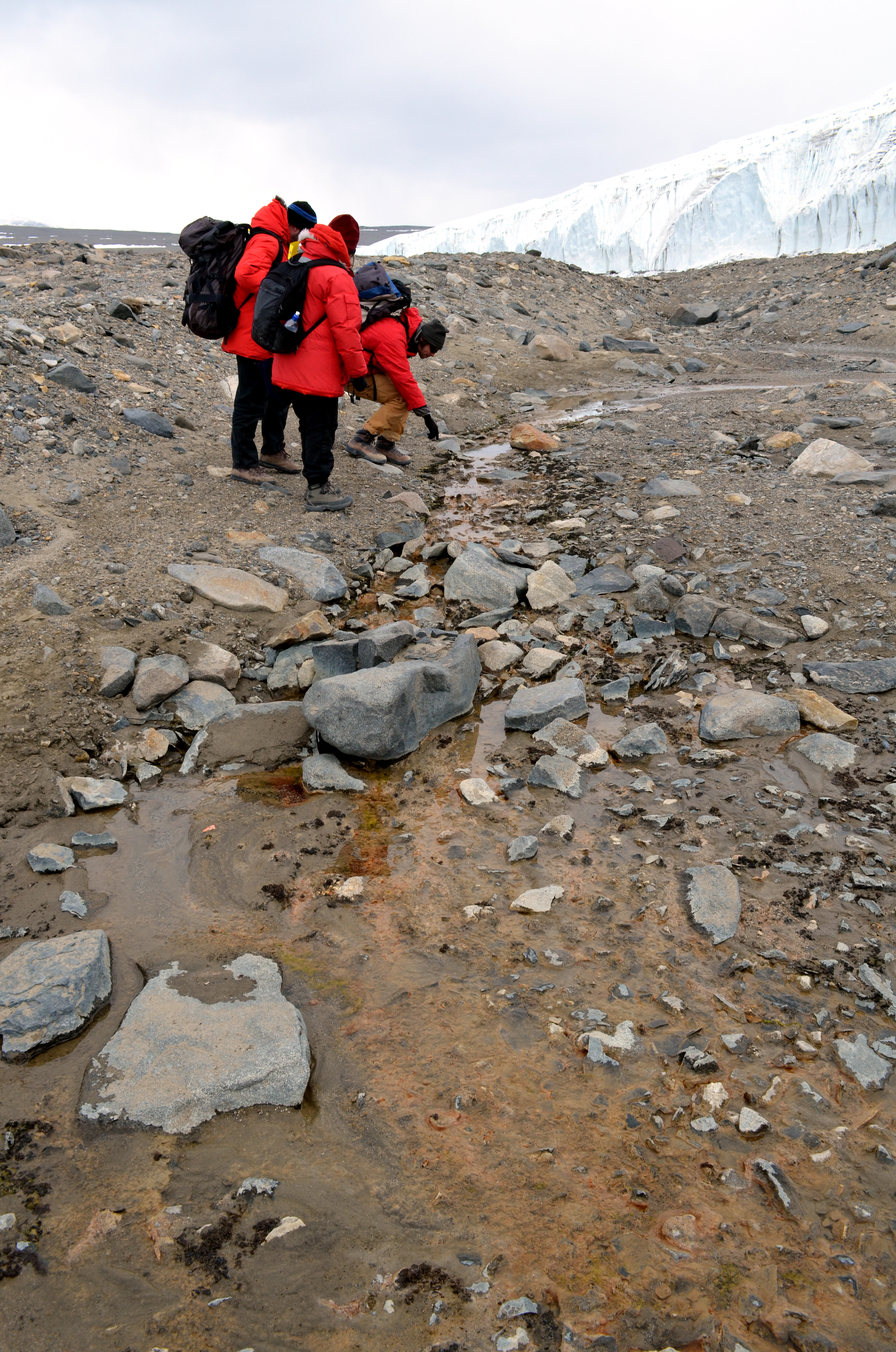 People look at a stream.