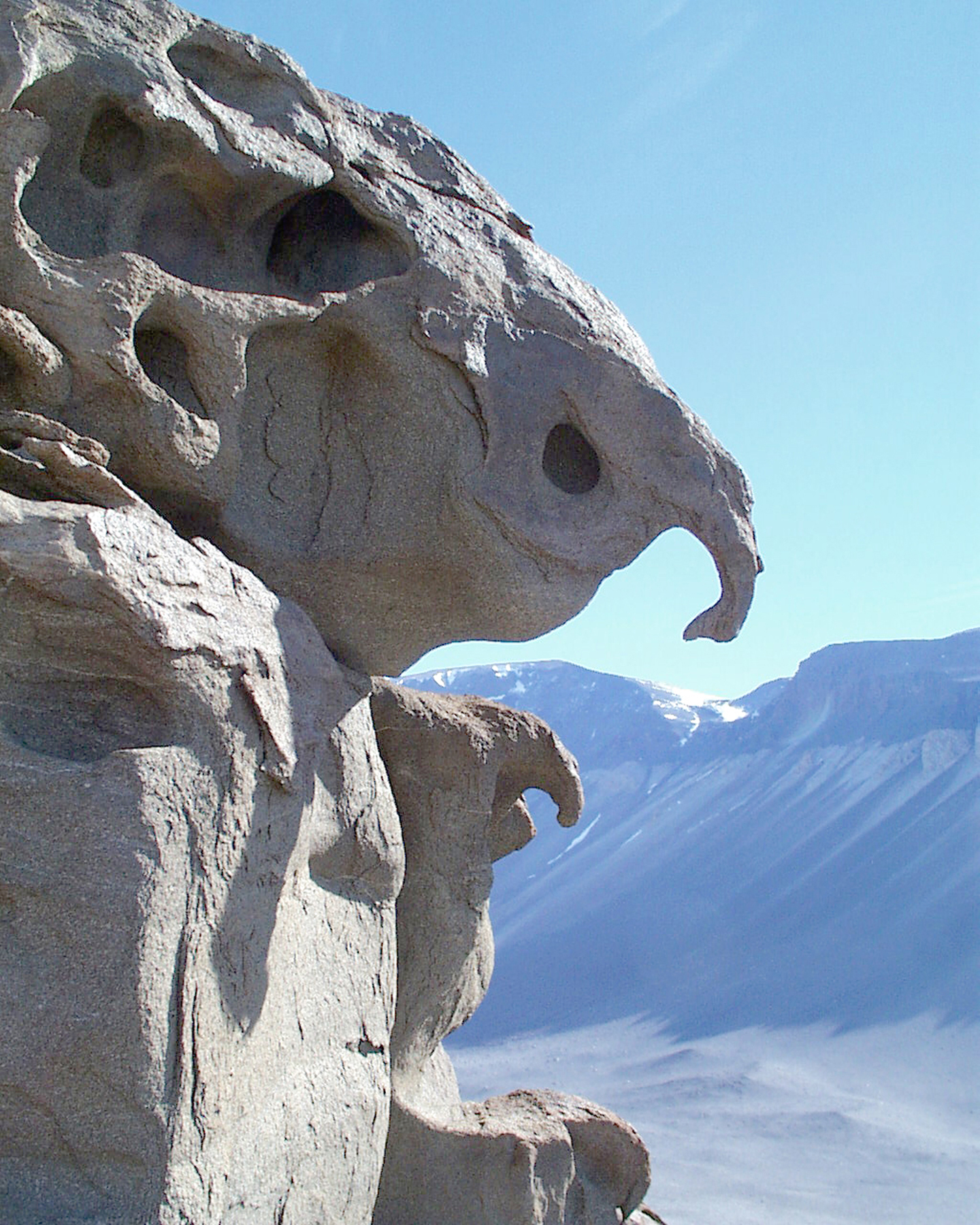 A rocky outcropping resembles an elephant head.