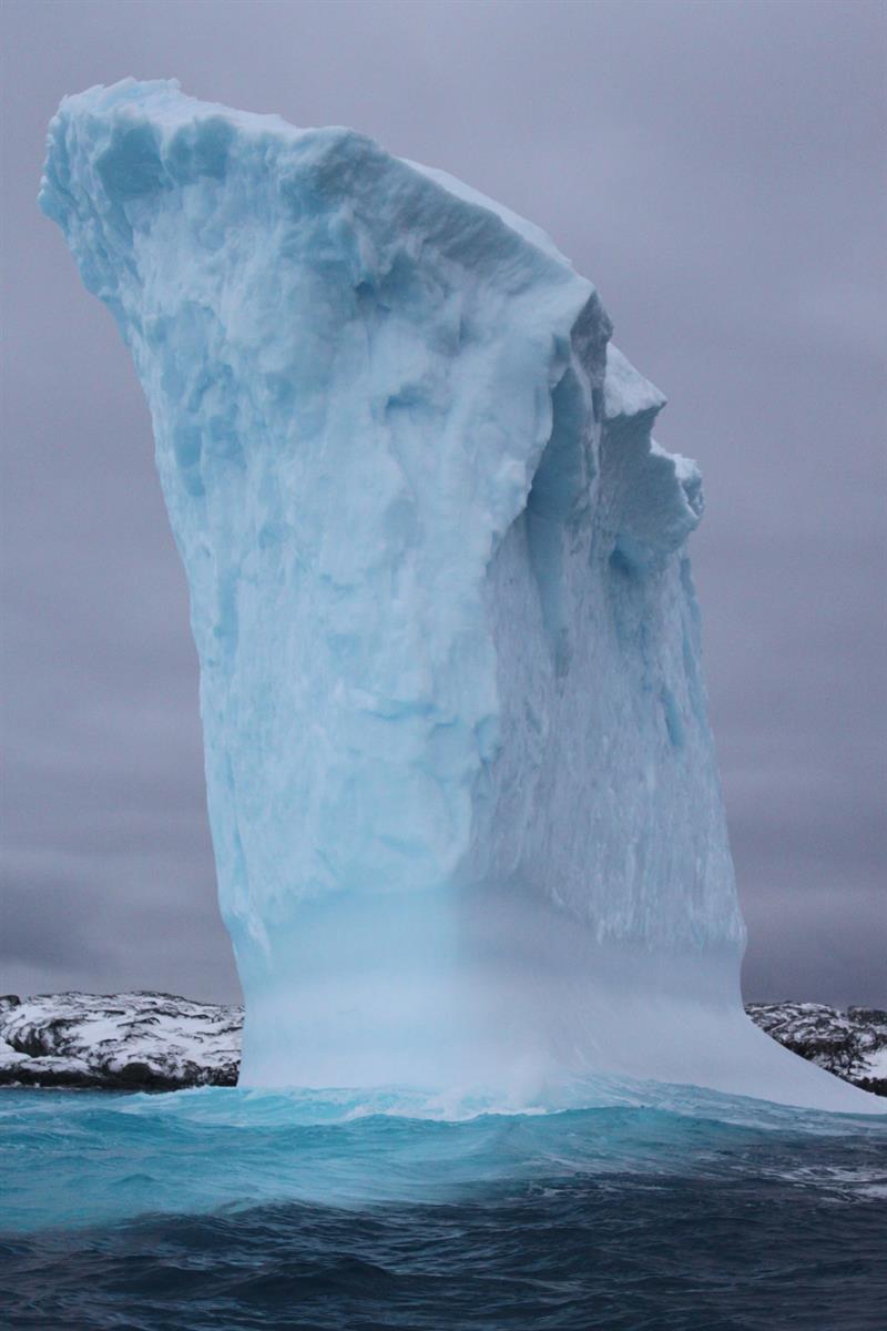 Antarctic Photo Library - Photo Details - iceberganvil.jpg